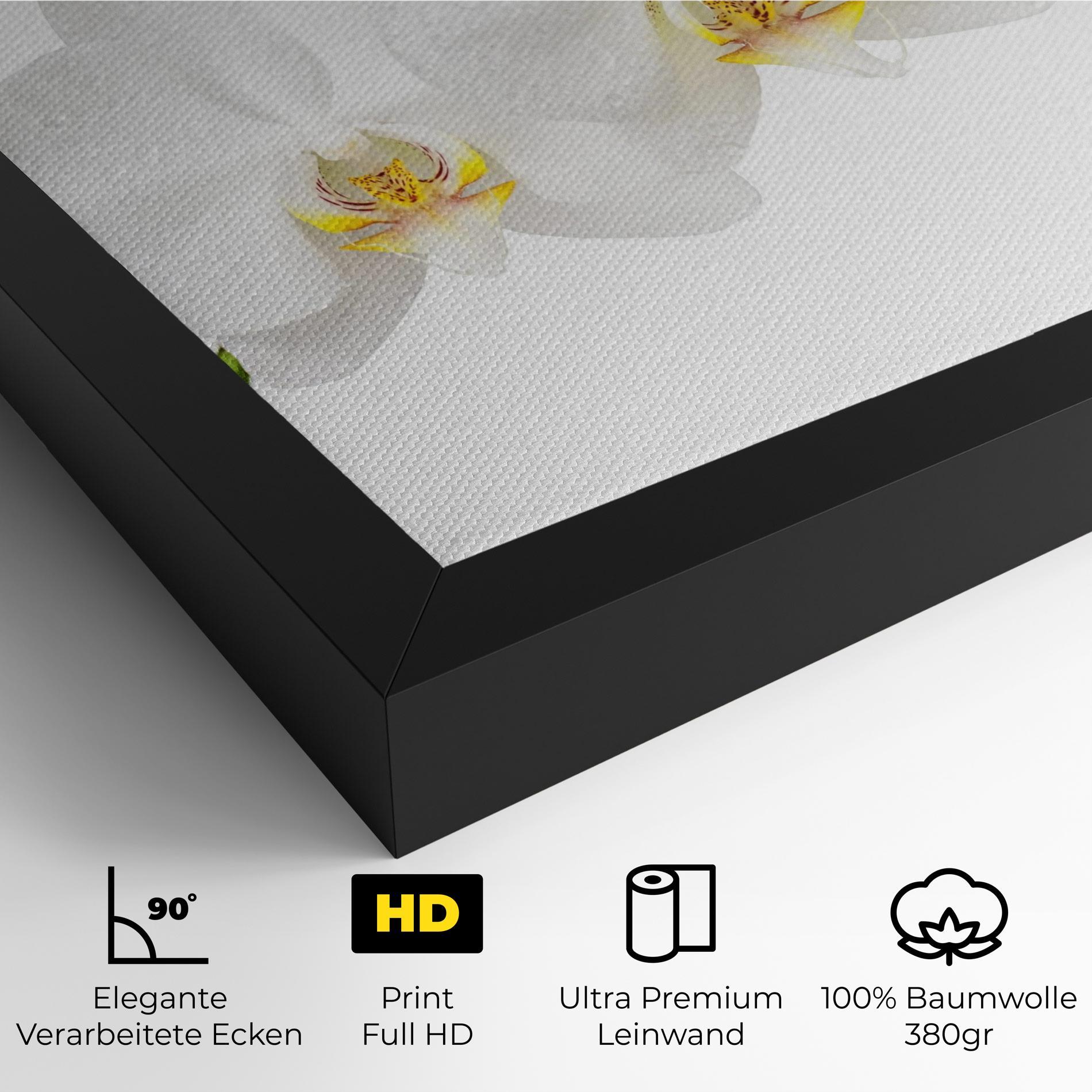 Leinwandbild Orchids On White mockup 4