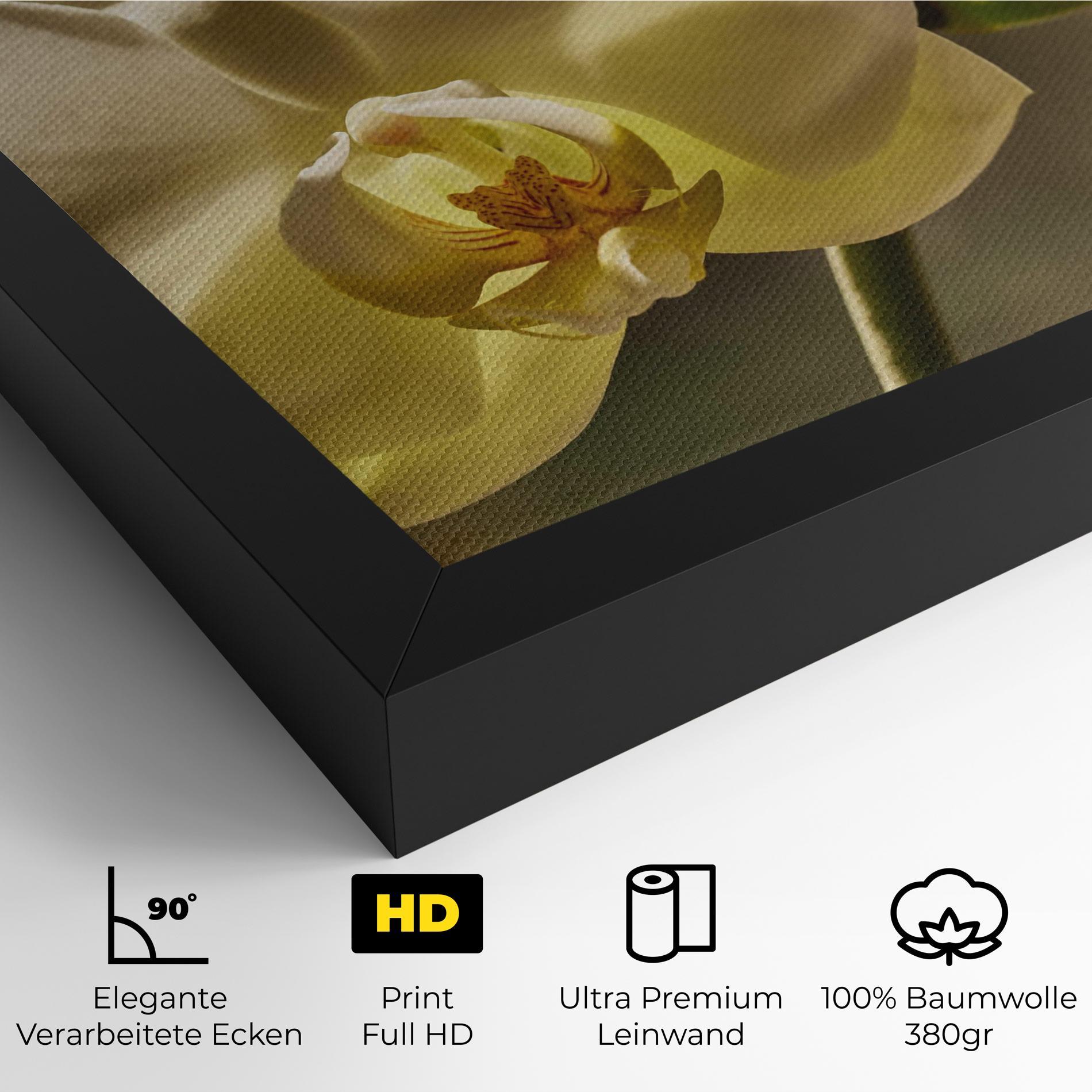 Leinwandbild Pastel Yellow Orchid In Garden mockup 4