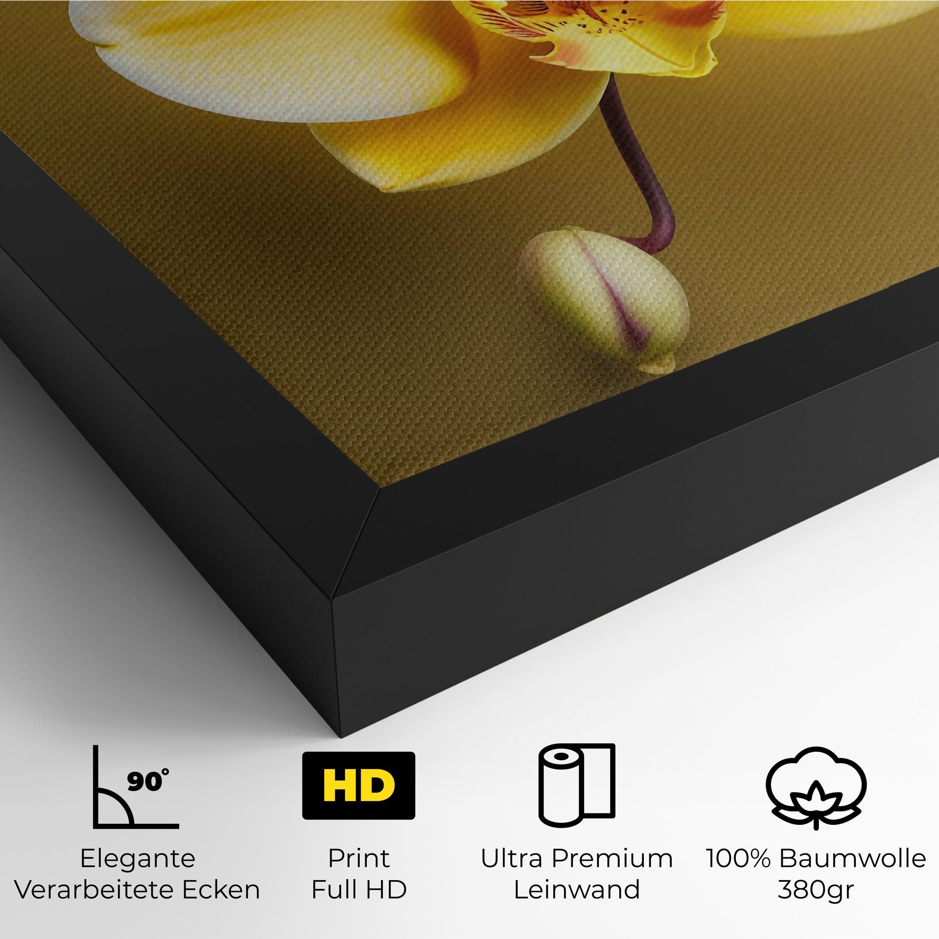 Pastel Yellow Orchid mockup 4