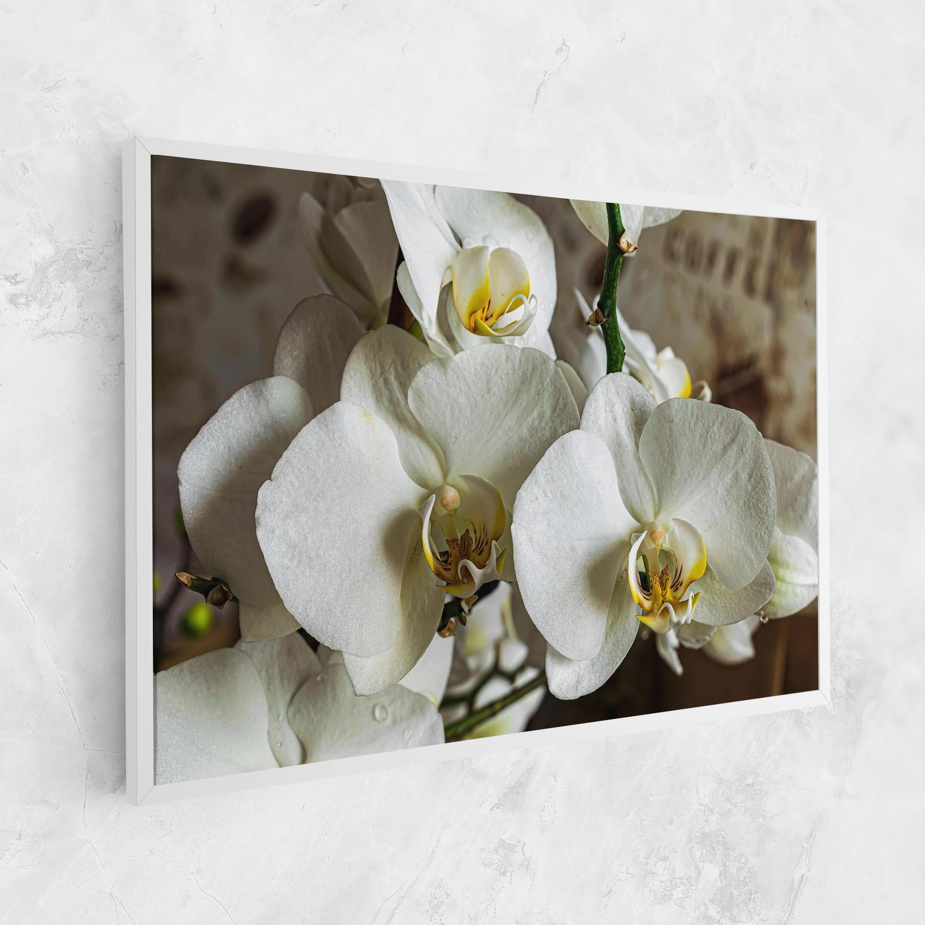 Leinwandbild Beautiful White Orchids mockup 1