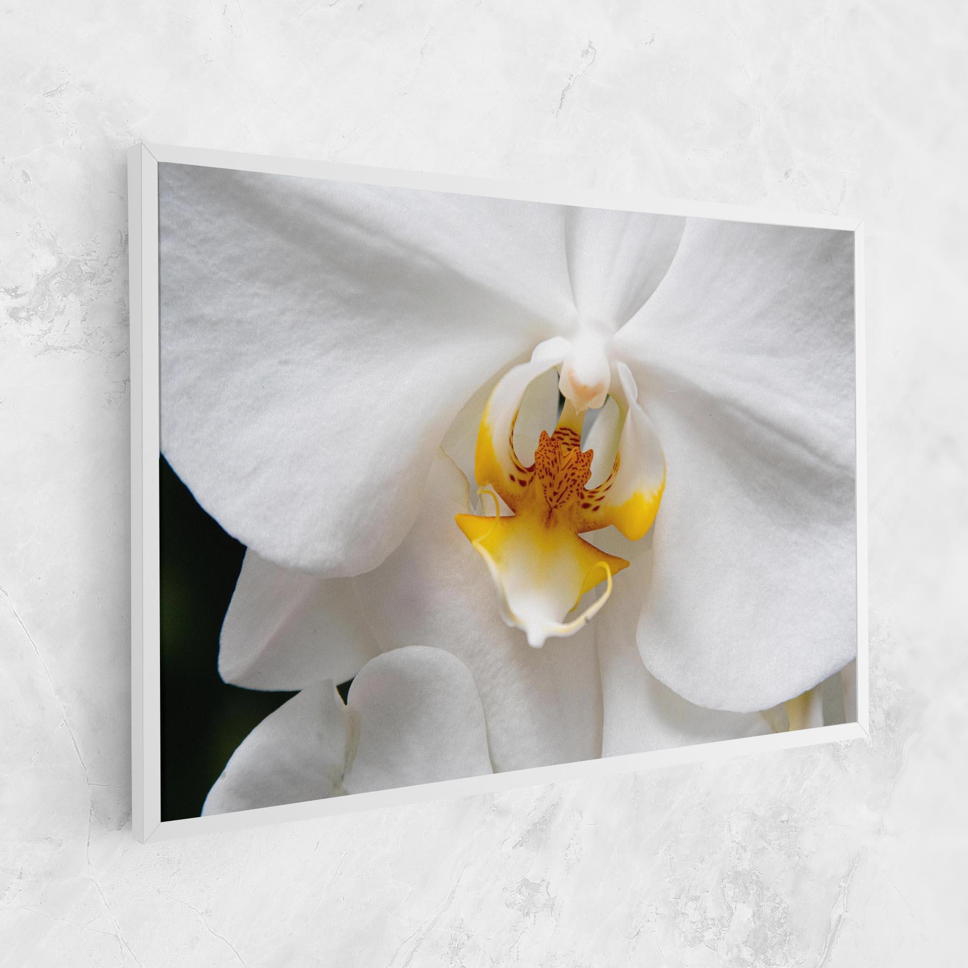 Leinwandbild Big Orchid Close Up mockup 1