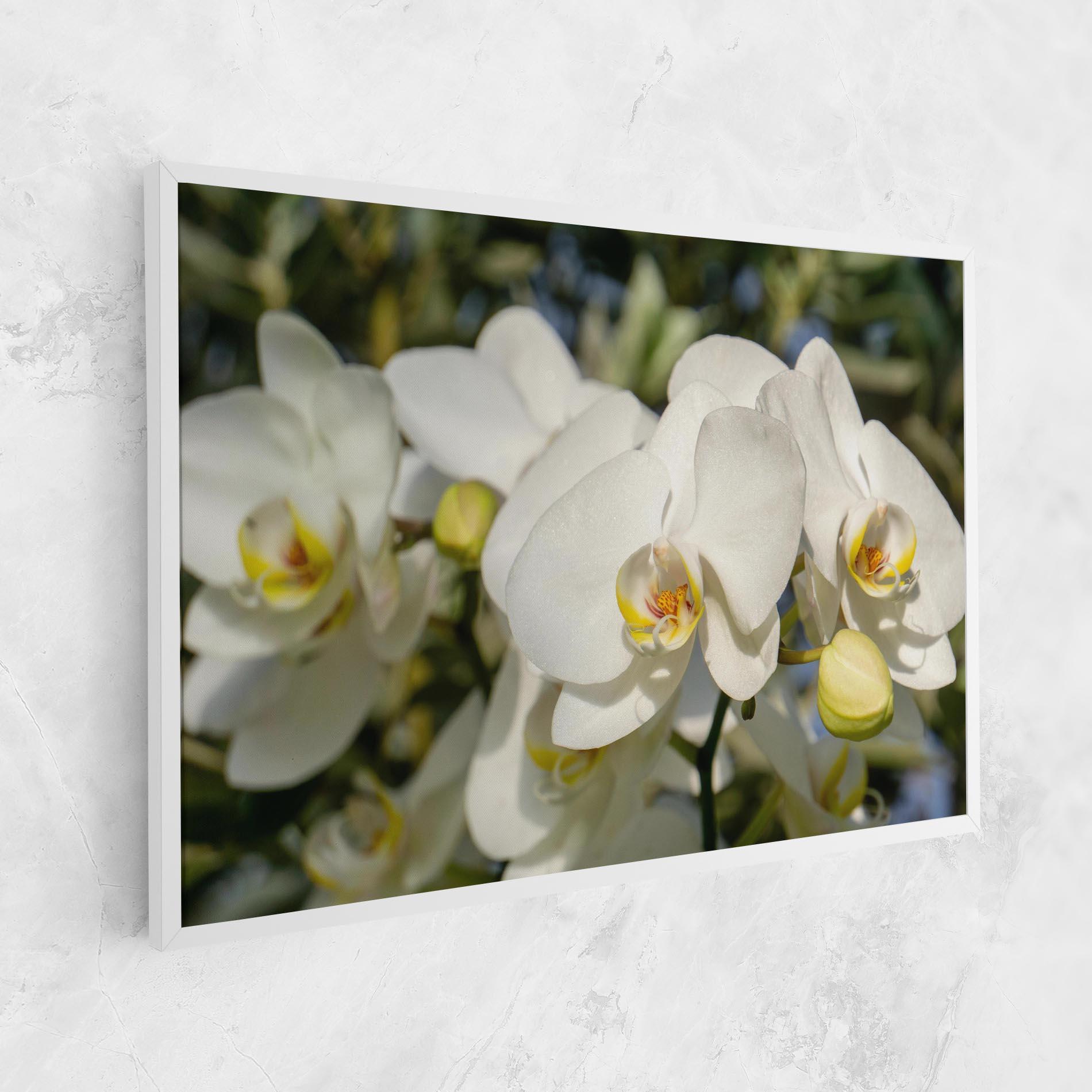 Leinwandbild Big Orchids In Nature mockup 1