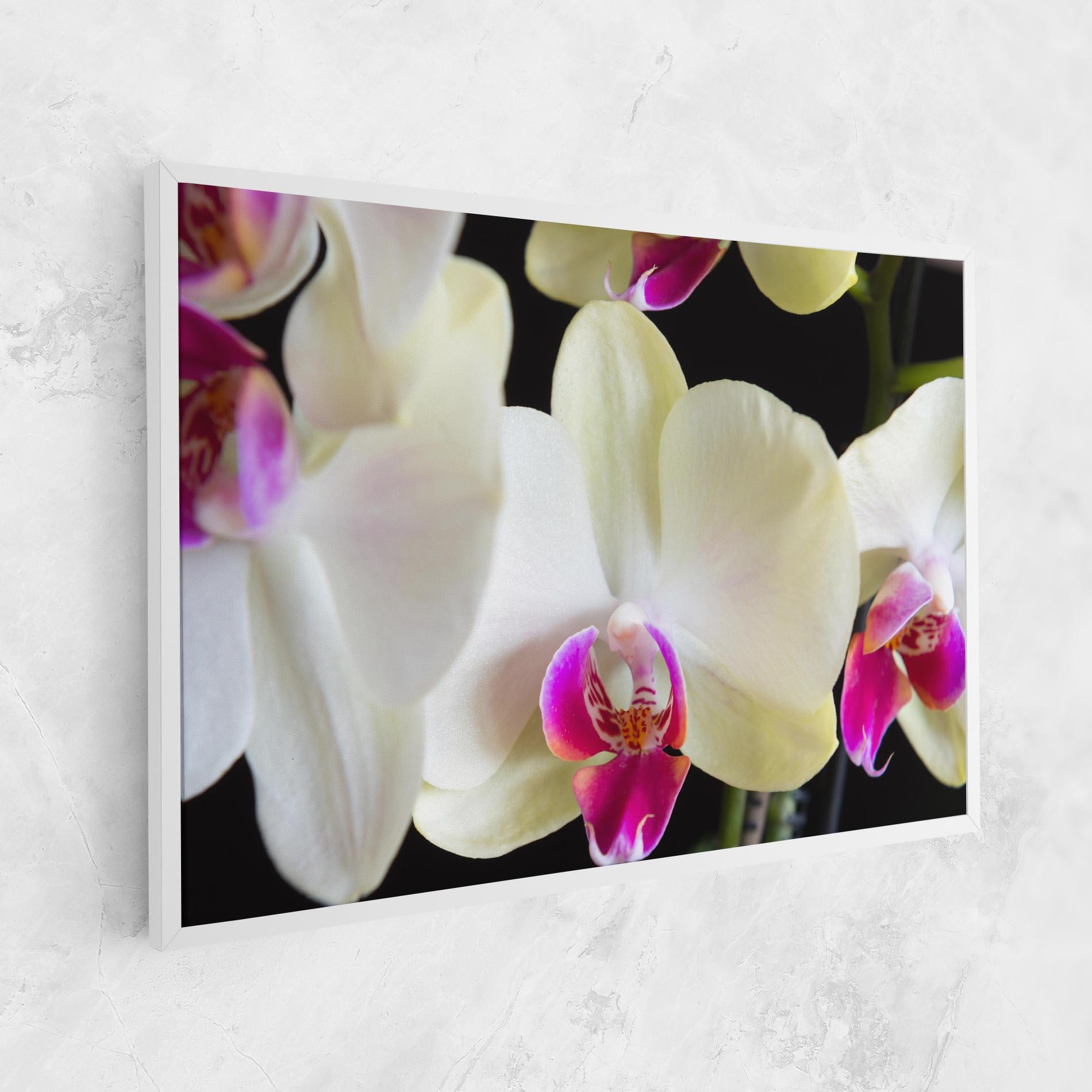 Leinwandbild Cream Purple Orchids mockup 1