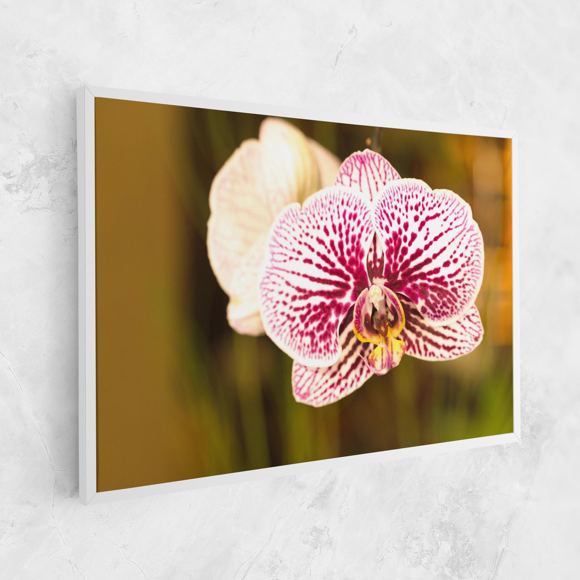 Leinwandbild Garden Orchids mockup 1