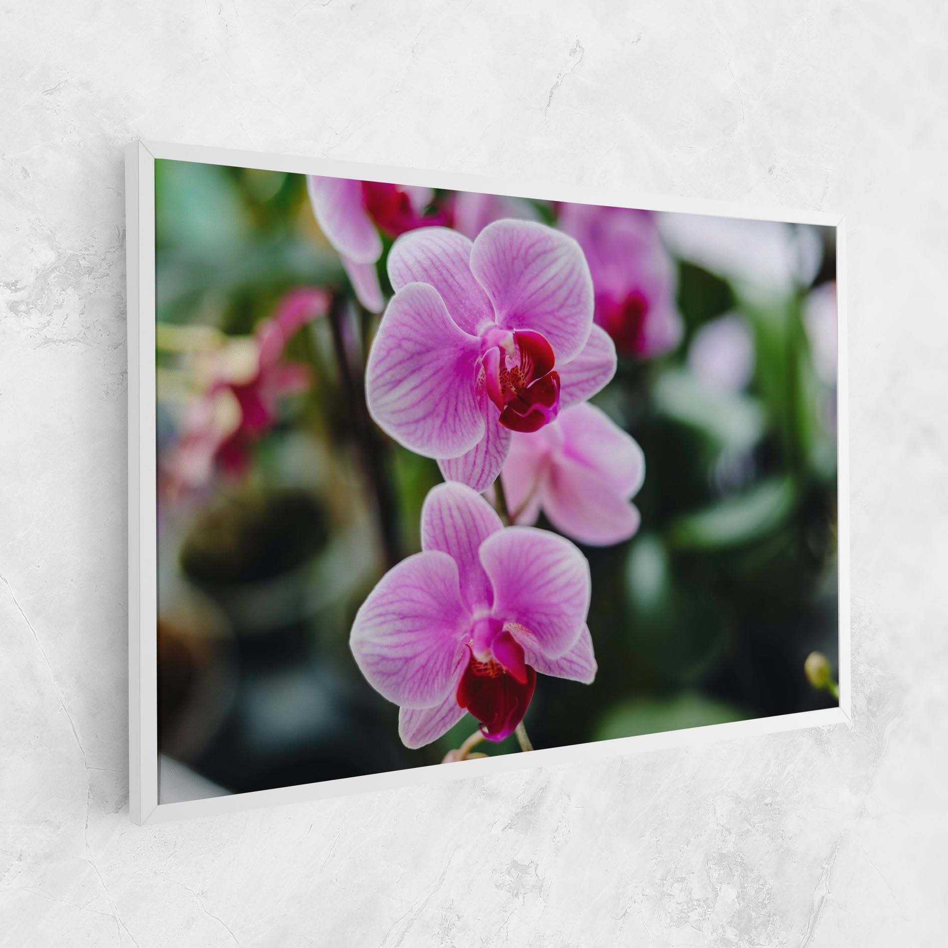Leinwandbild Garden Purple Orchids mockup 1