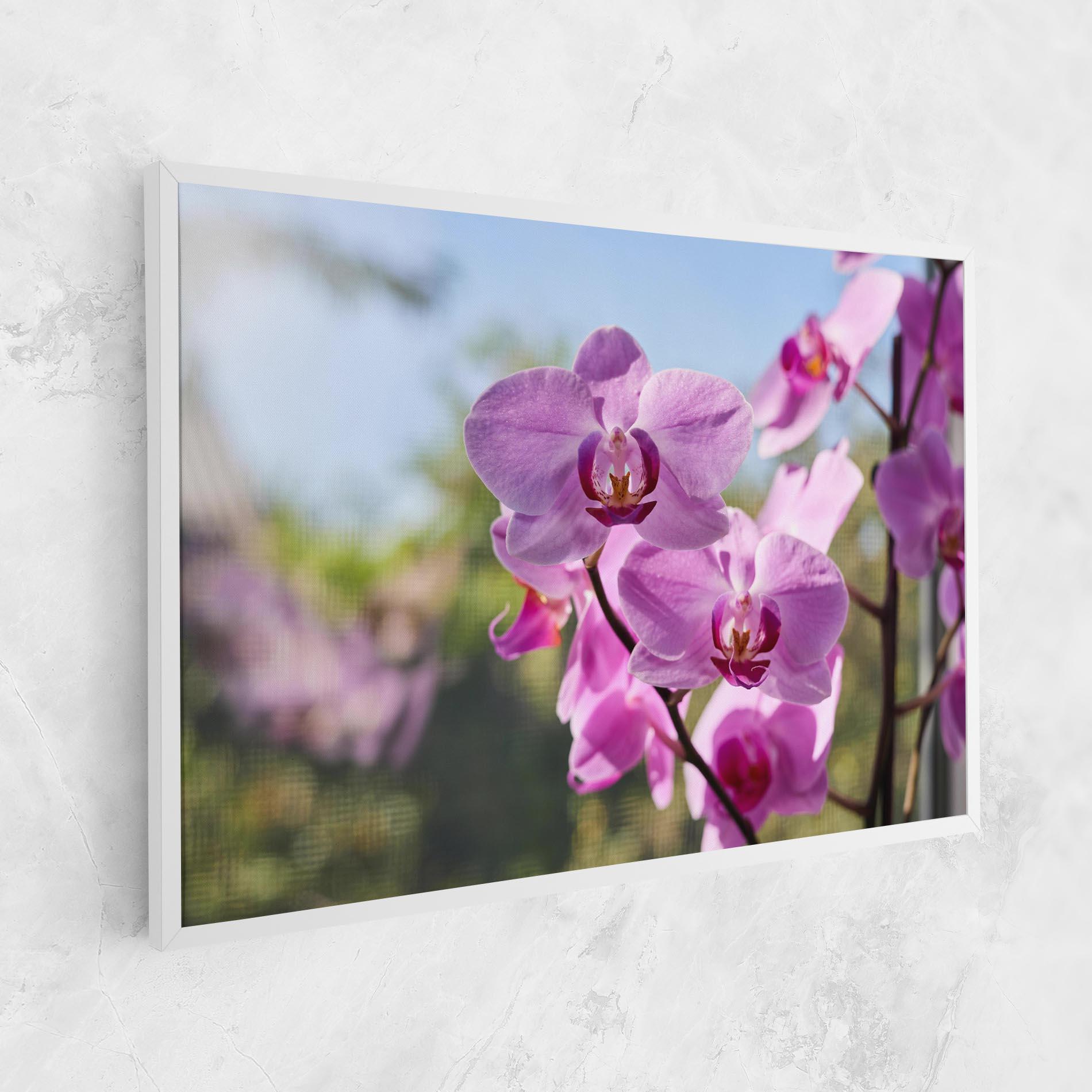 Leinwandbild Orchids In The Garden mockup 1