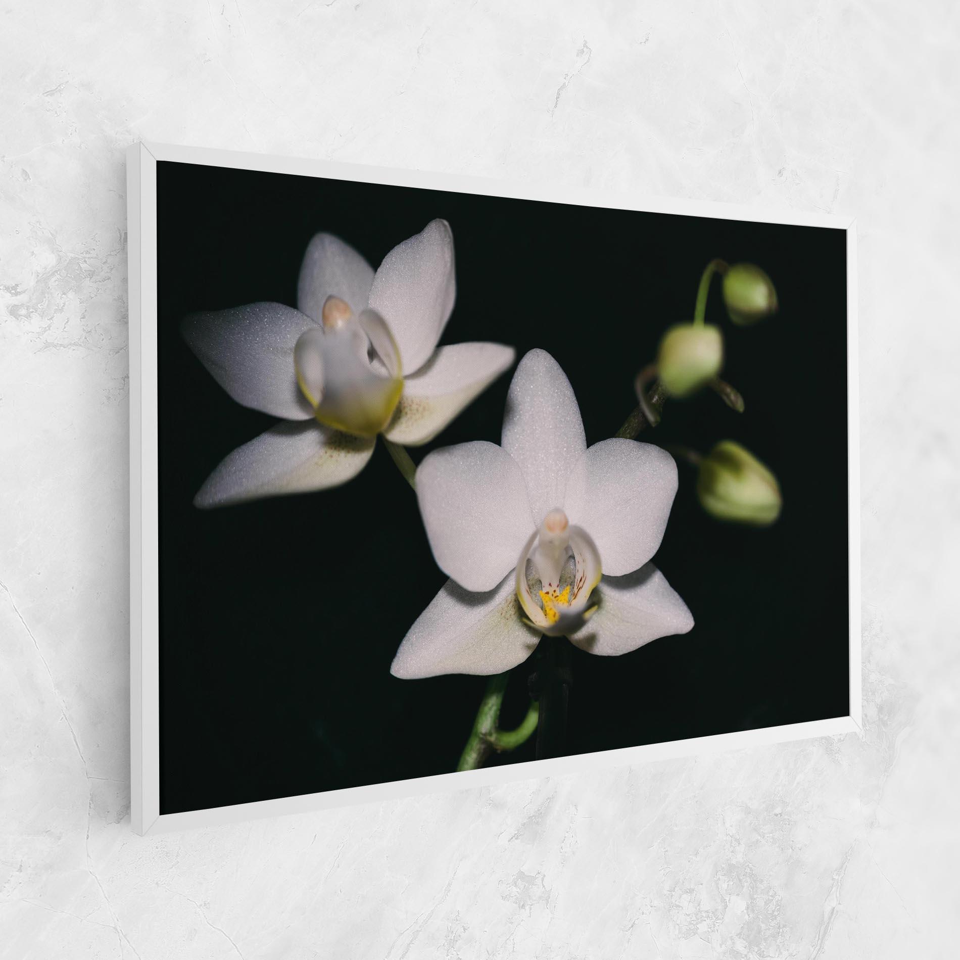 Leinwandbild Orchids On Black mockup 1