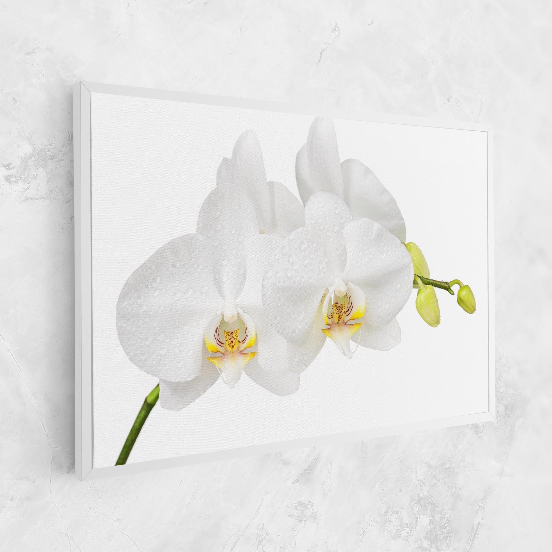 Leinwandbild Orchids On White mockup 1