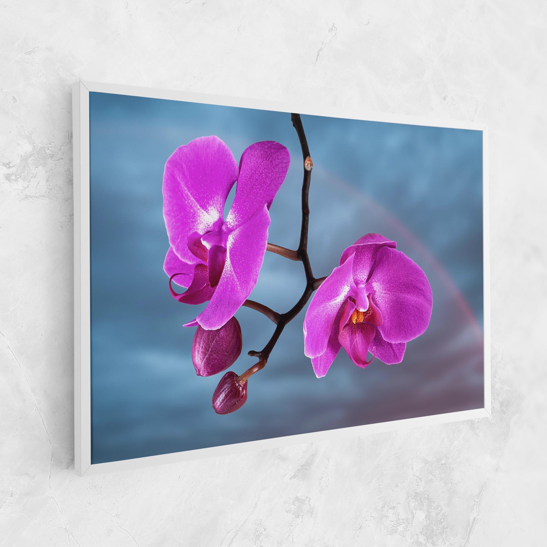 Leinwandbild Sky Purple Orchid mockup 1