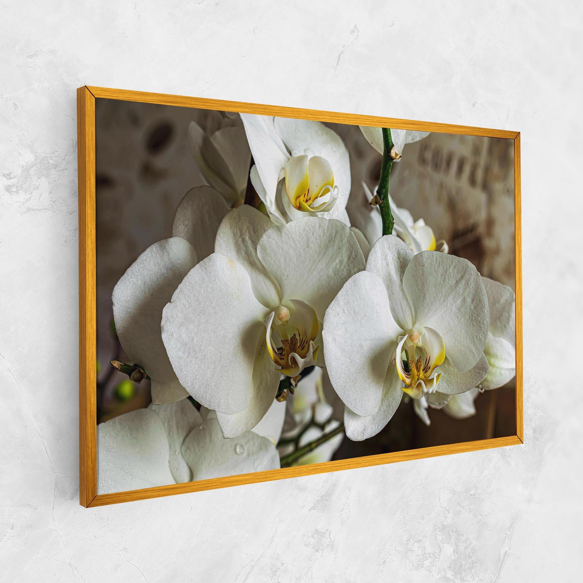 Leinwandbild Beautiful White Orchids mockup 1