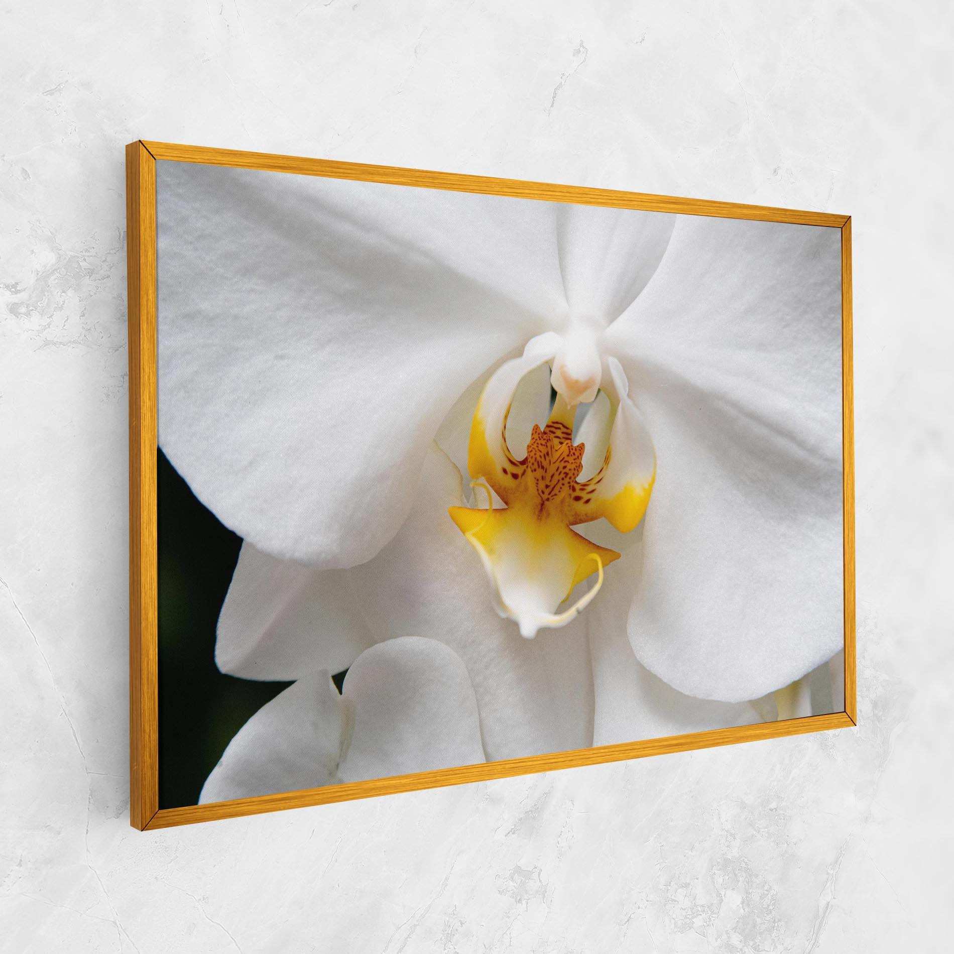 Leinwandbild Big Orchid Close Up mockup 1