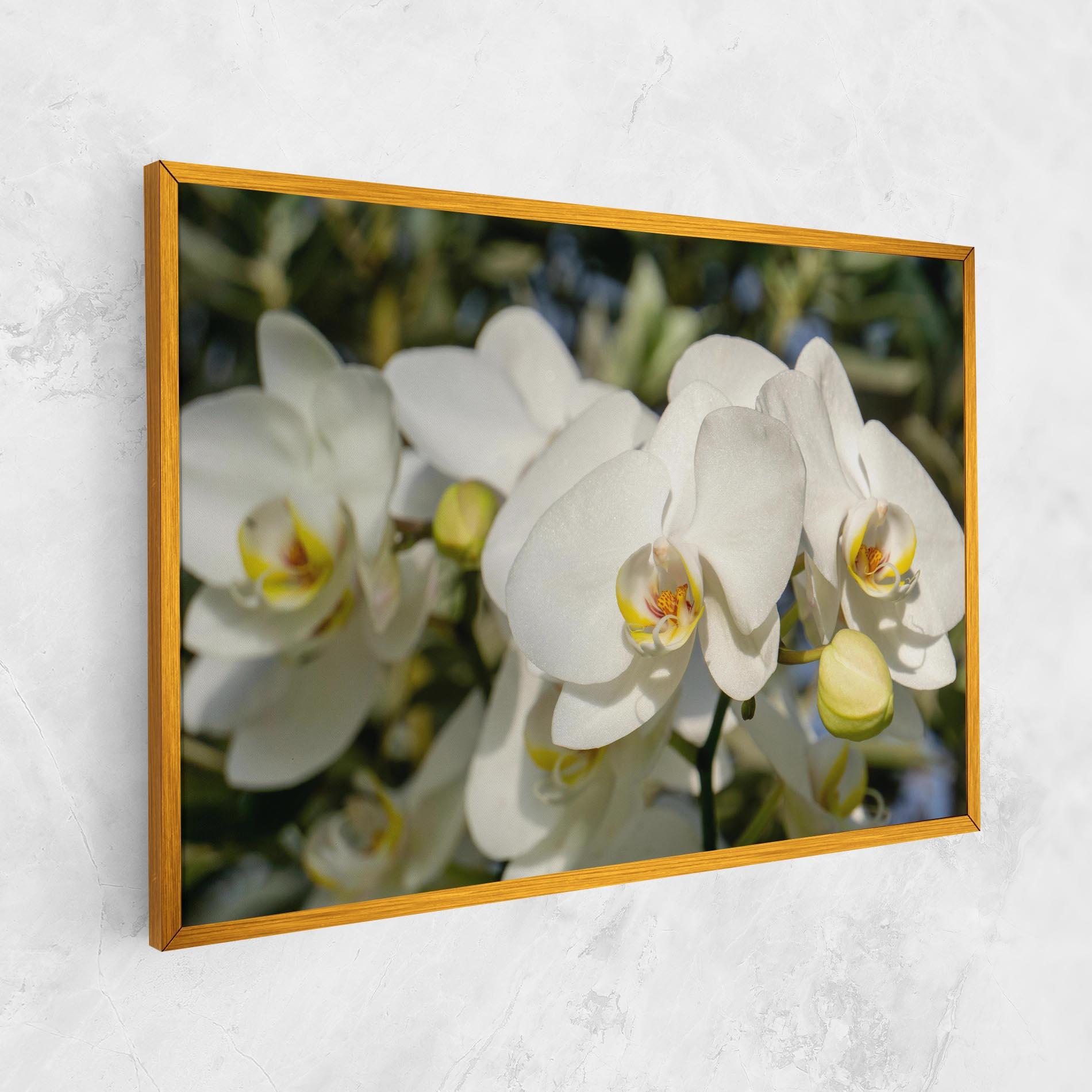 Leinwandbild Big Orchids In Nature mockup 1