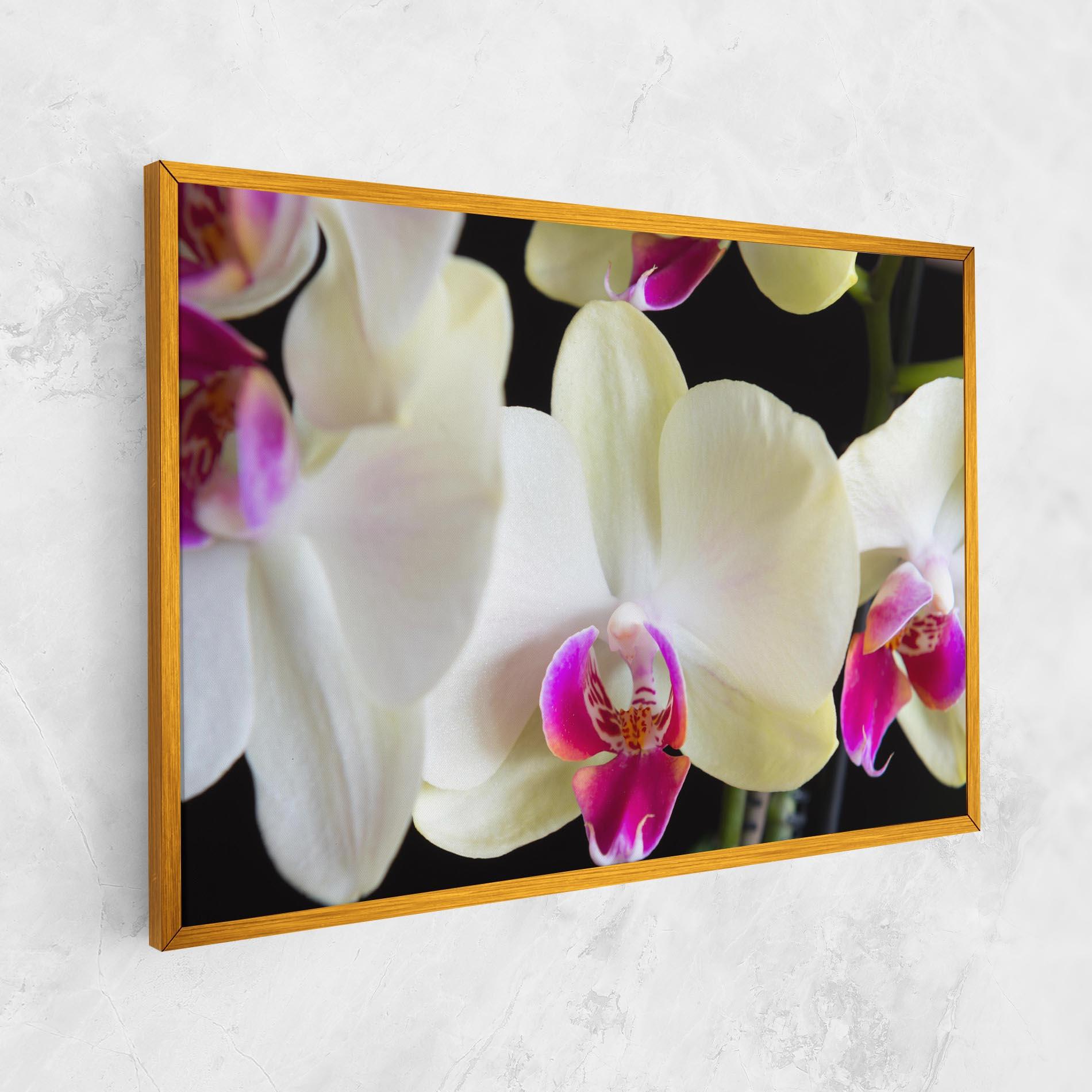 Leinwandbild Cream Purple Orchids mockup 1