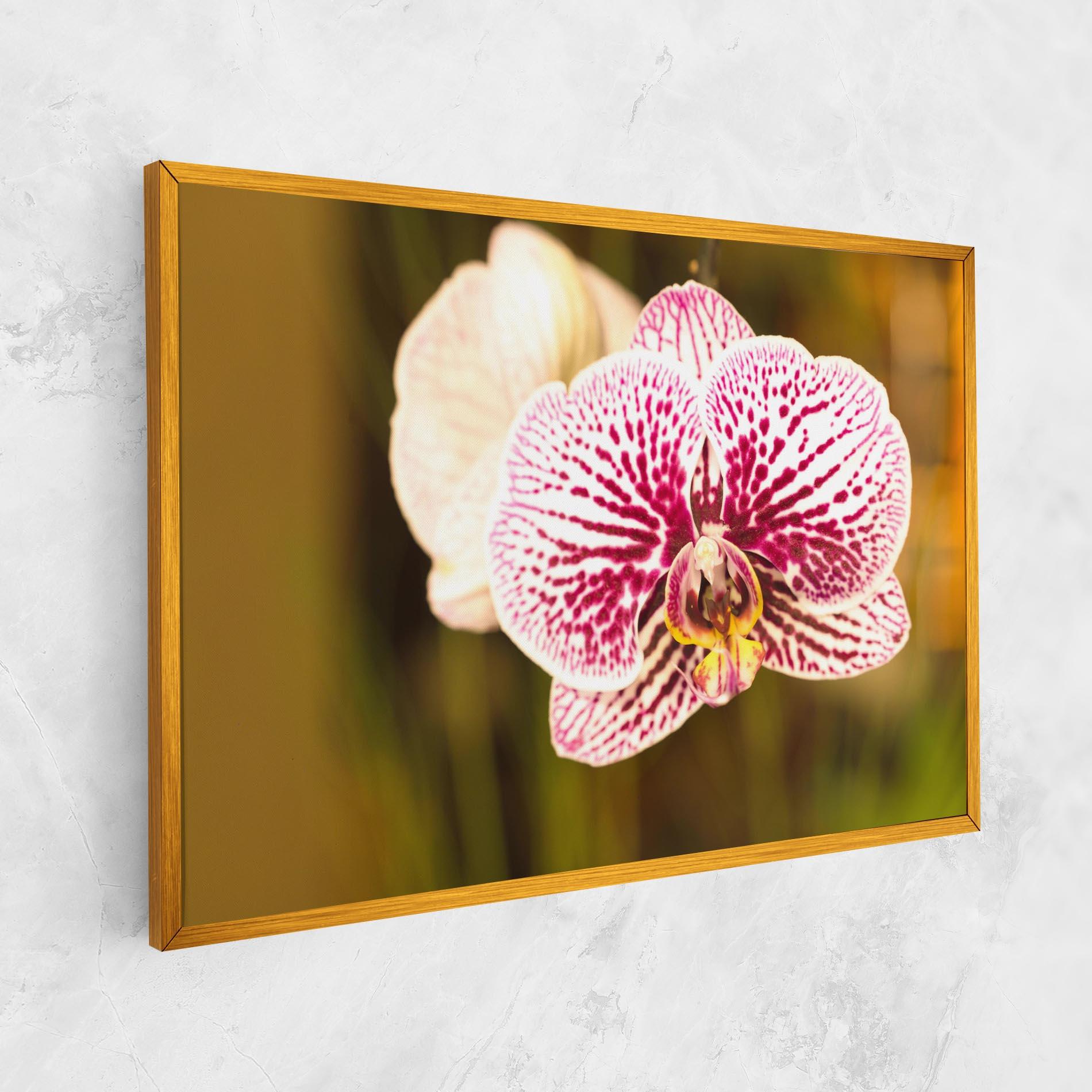 Leinwandbild Garden Orchids mockup 1