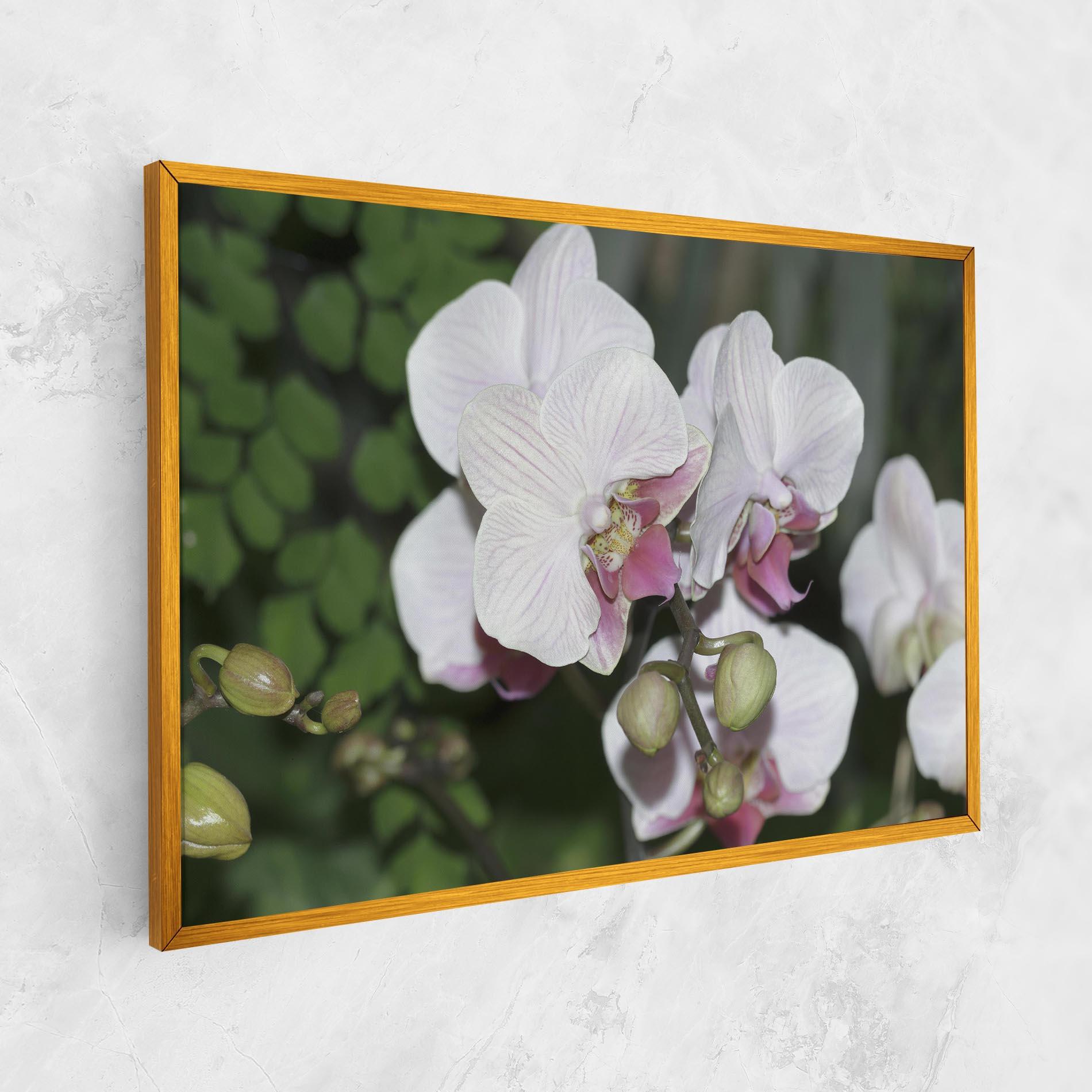 Leinwandbild Orchid Botanical Garden mockup 1