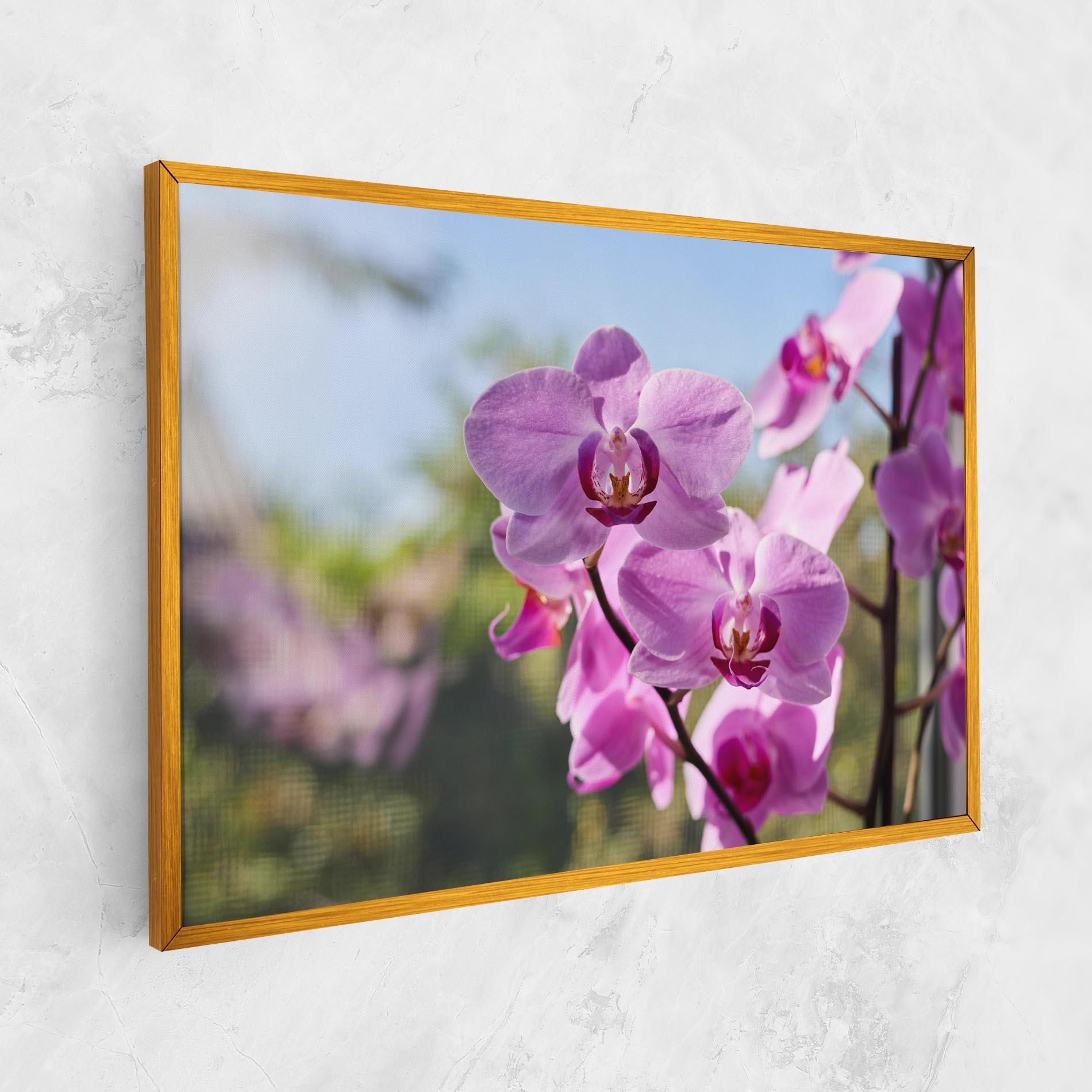 Leinwandbild Orchids In The Garden mockup 1
