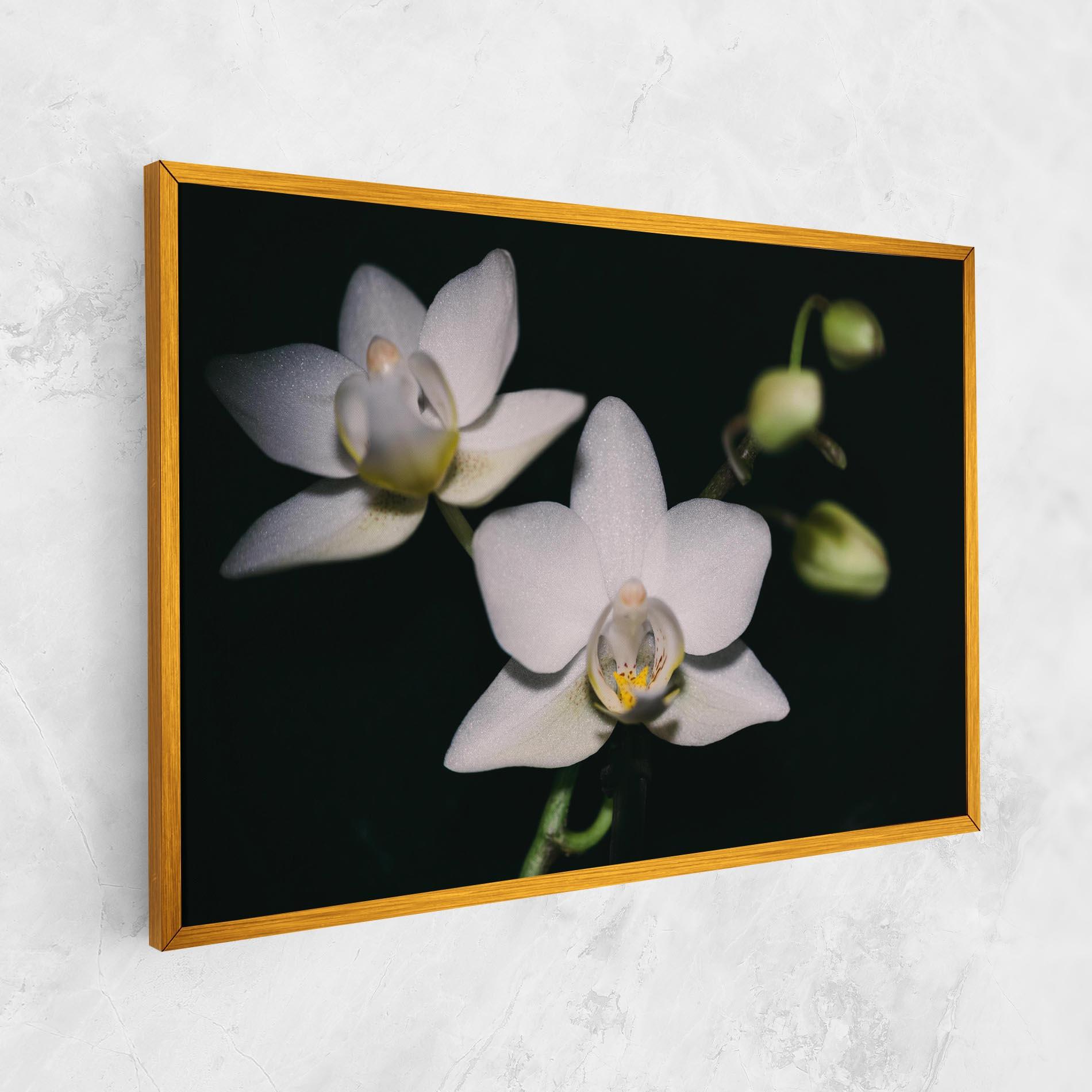 Leinwandbild Orchids On Black mockup 1