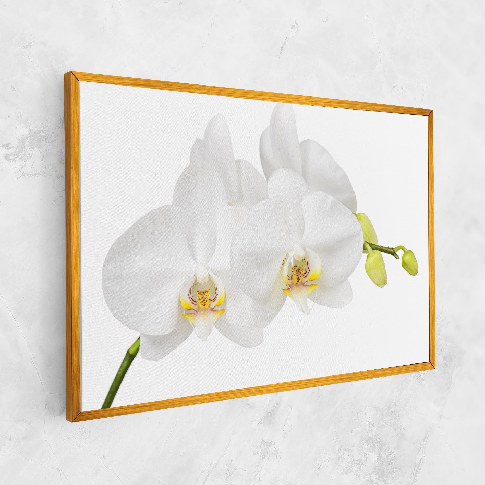 Leinwandbild Orchids On White mockup 1