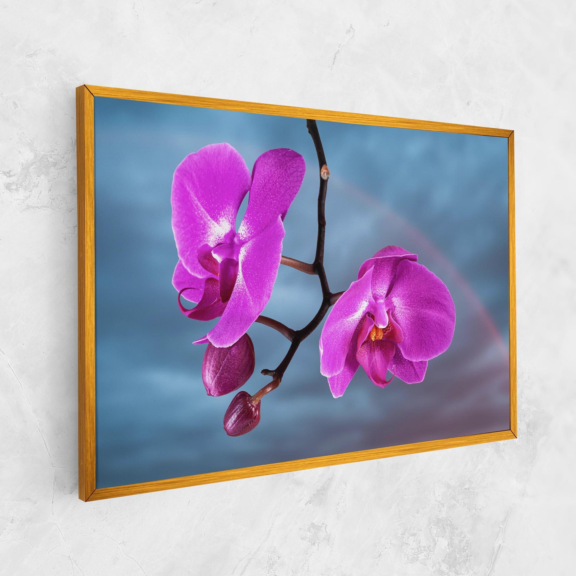 Leinwandbild Sky Purple Orchid mockup 1