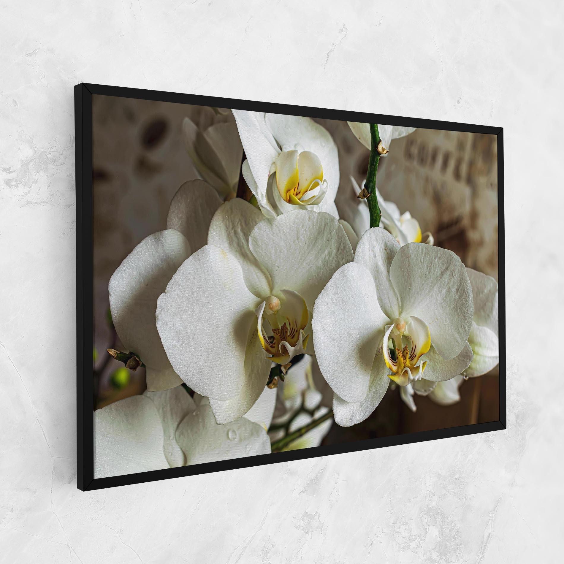 Leinwandbild Beautiful White Orchids mockup 1