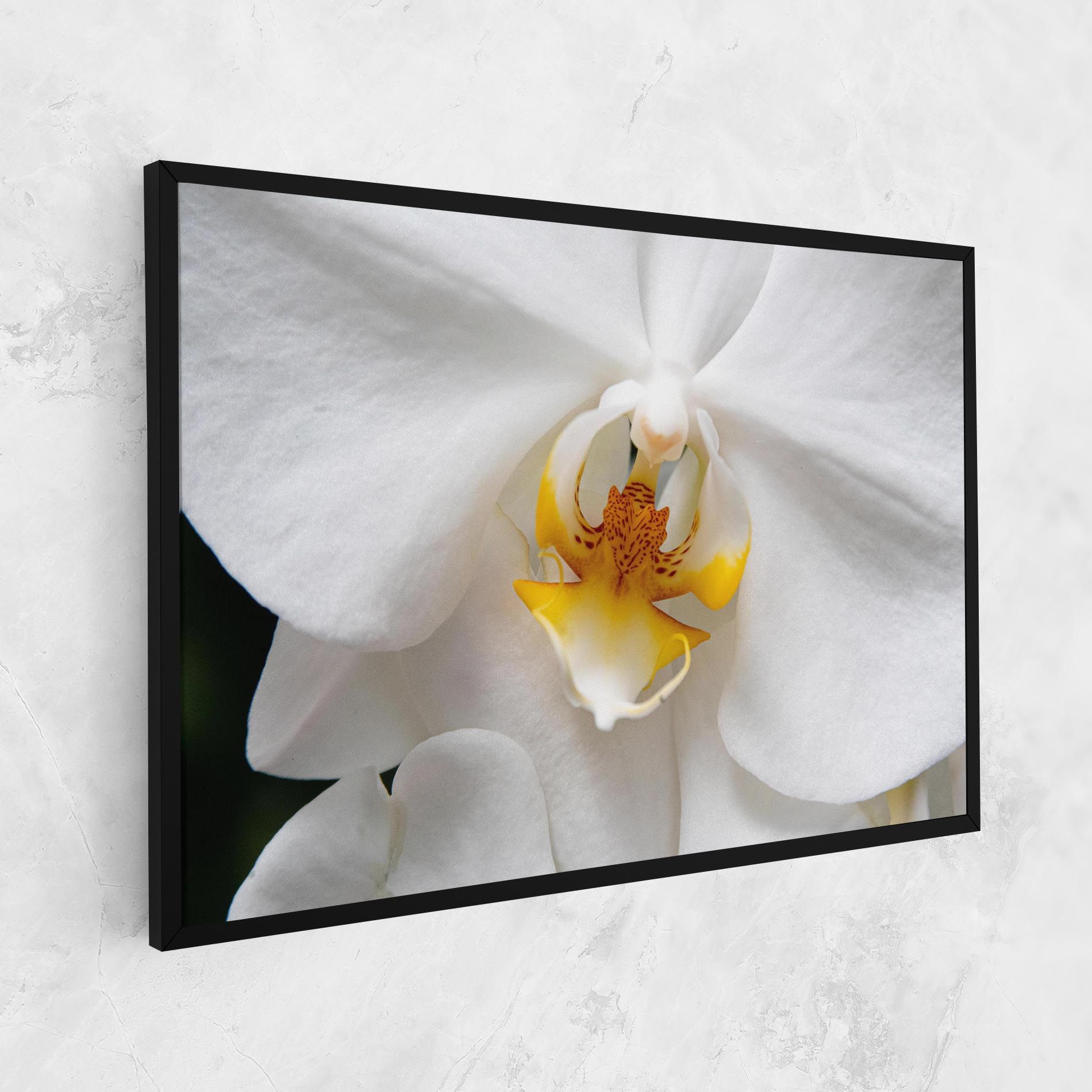 Big Orchid Close Up mockup 1