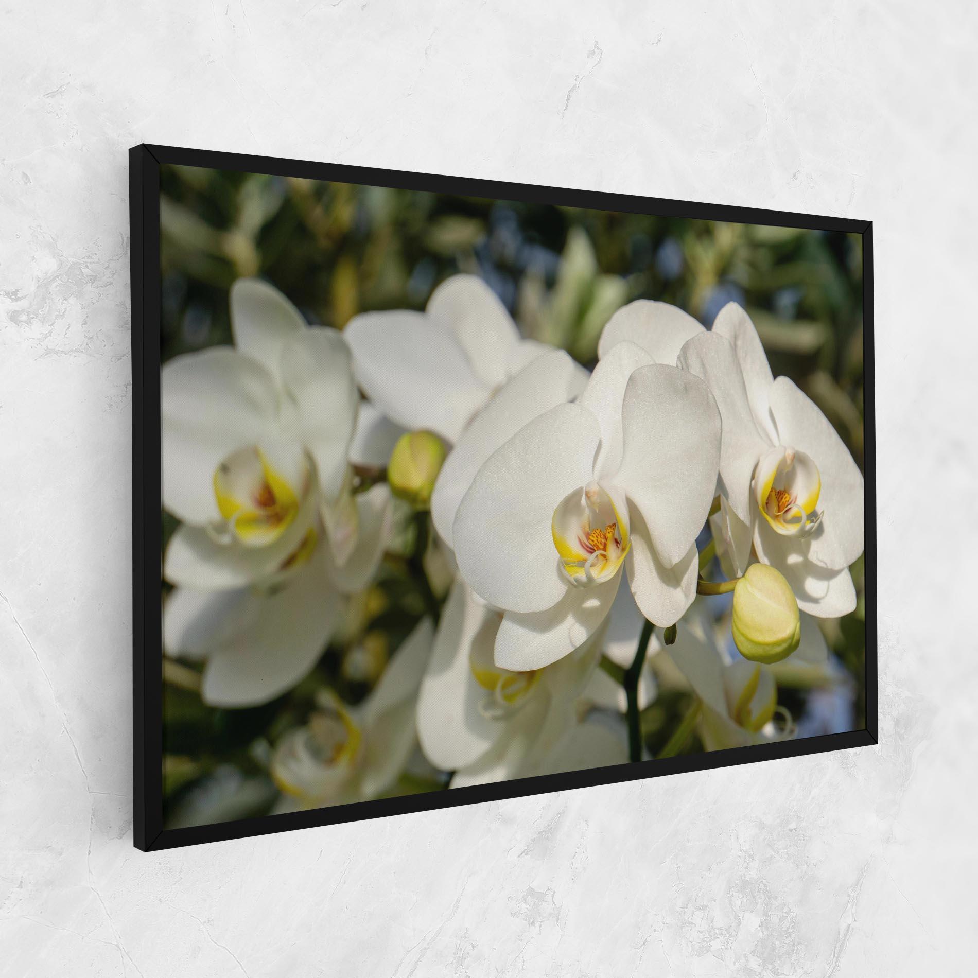 Leinwandbild Big Orchids In Nature mockup 1