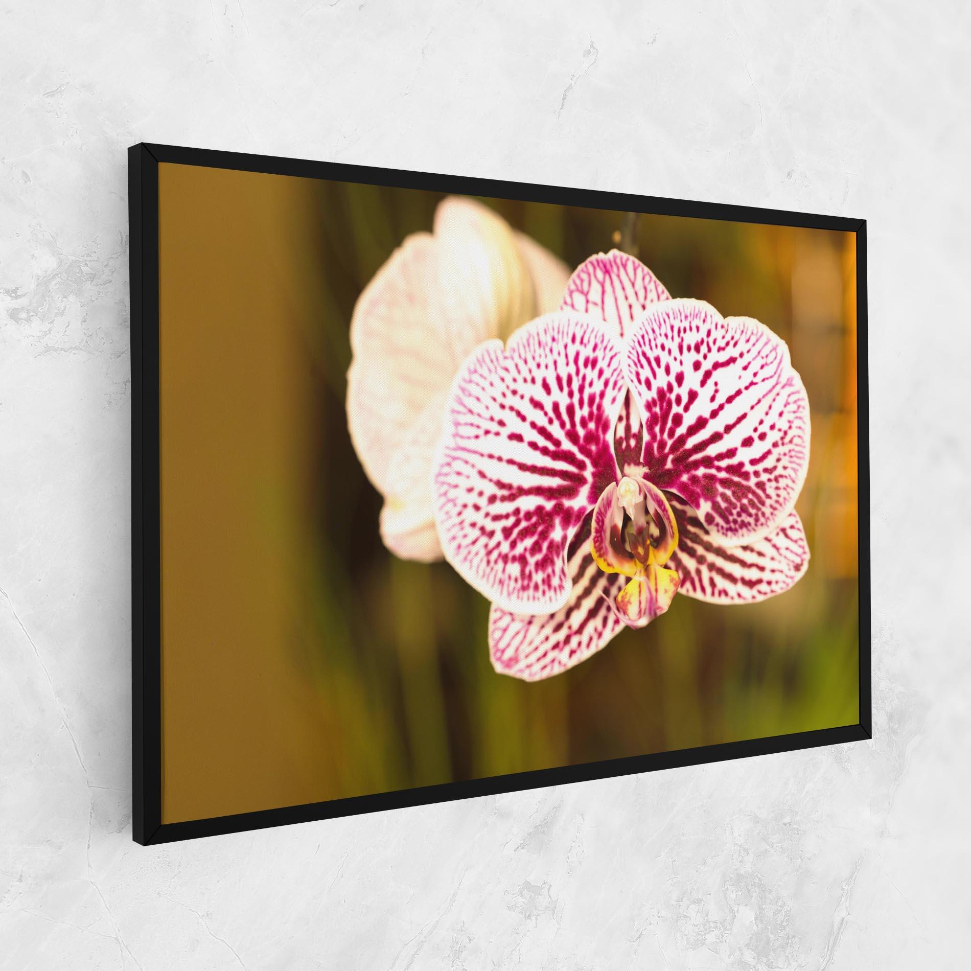 Leinwandbild Garden Orchids mockup 1