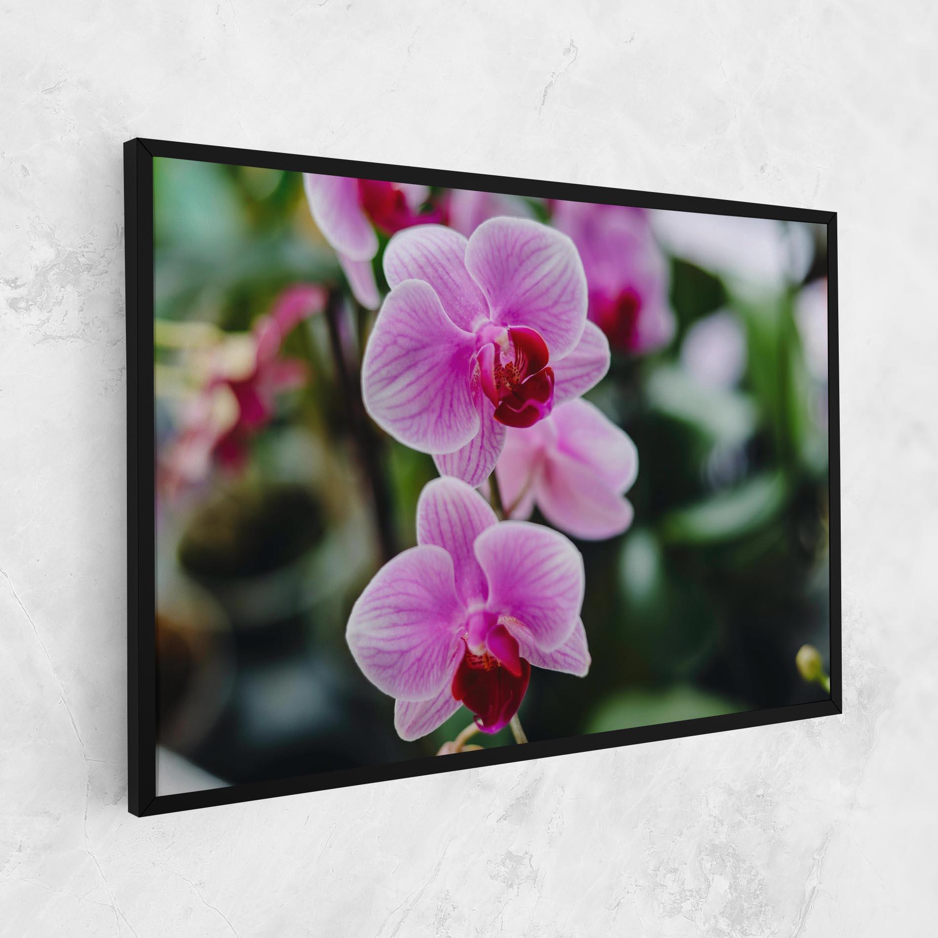 Leinwandbild Garden Purple Orchids mockup 1