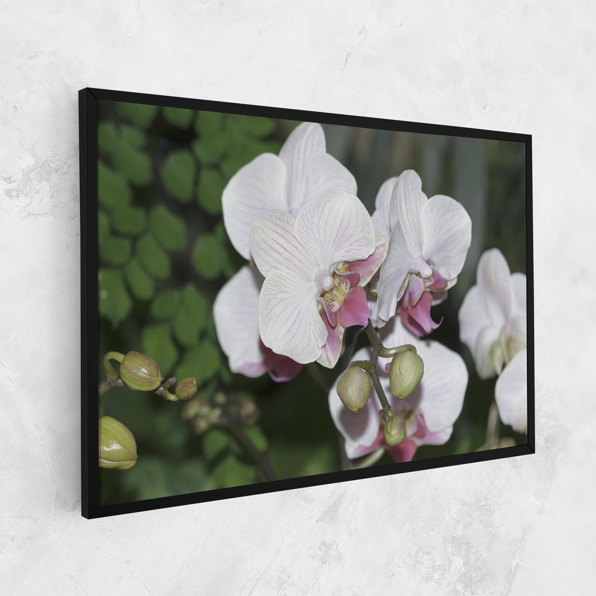 Leinwandbild Orchid Botanical Garden mockup 1