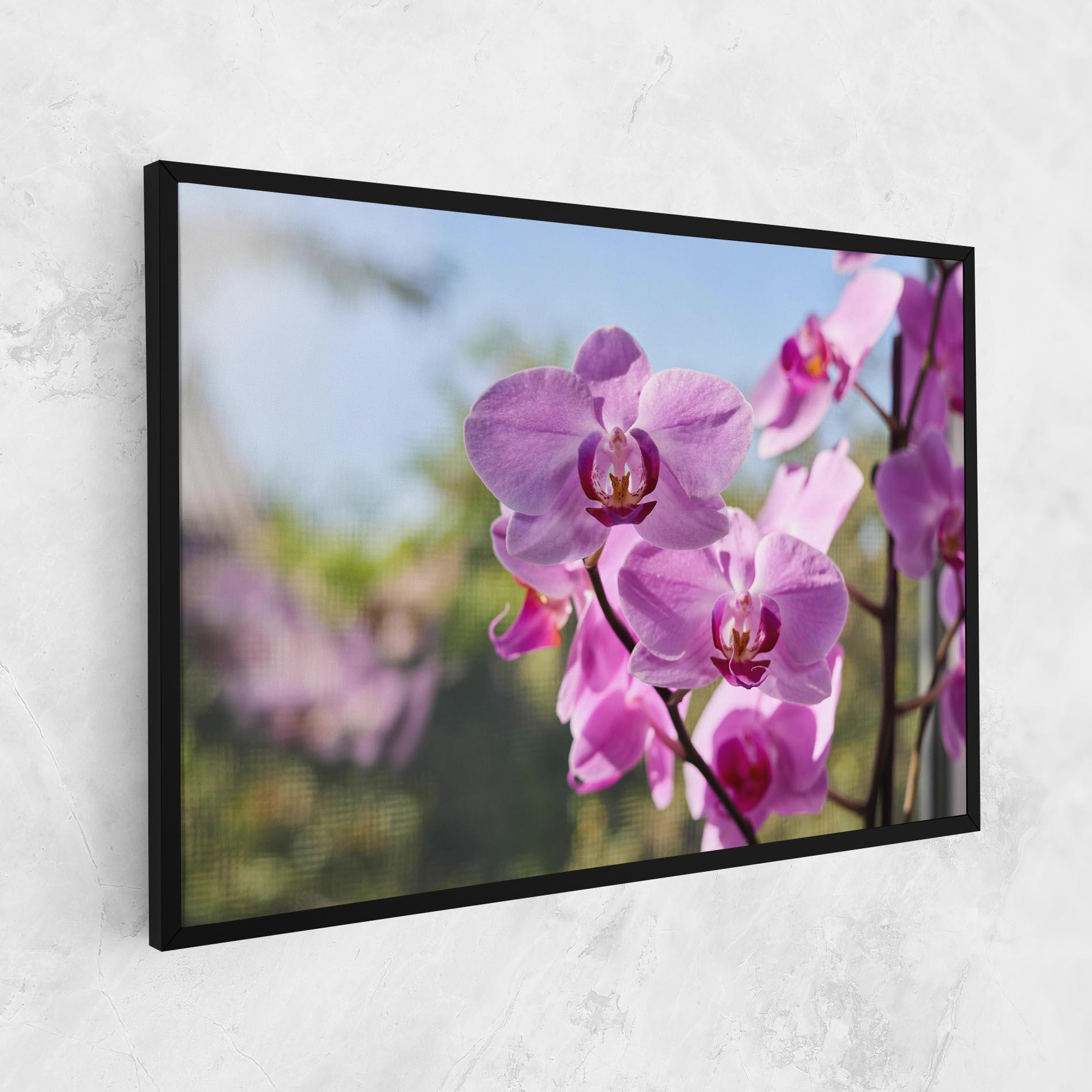 Leinwandbild Orchids In The Garden mockup 1