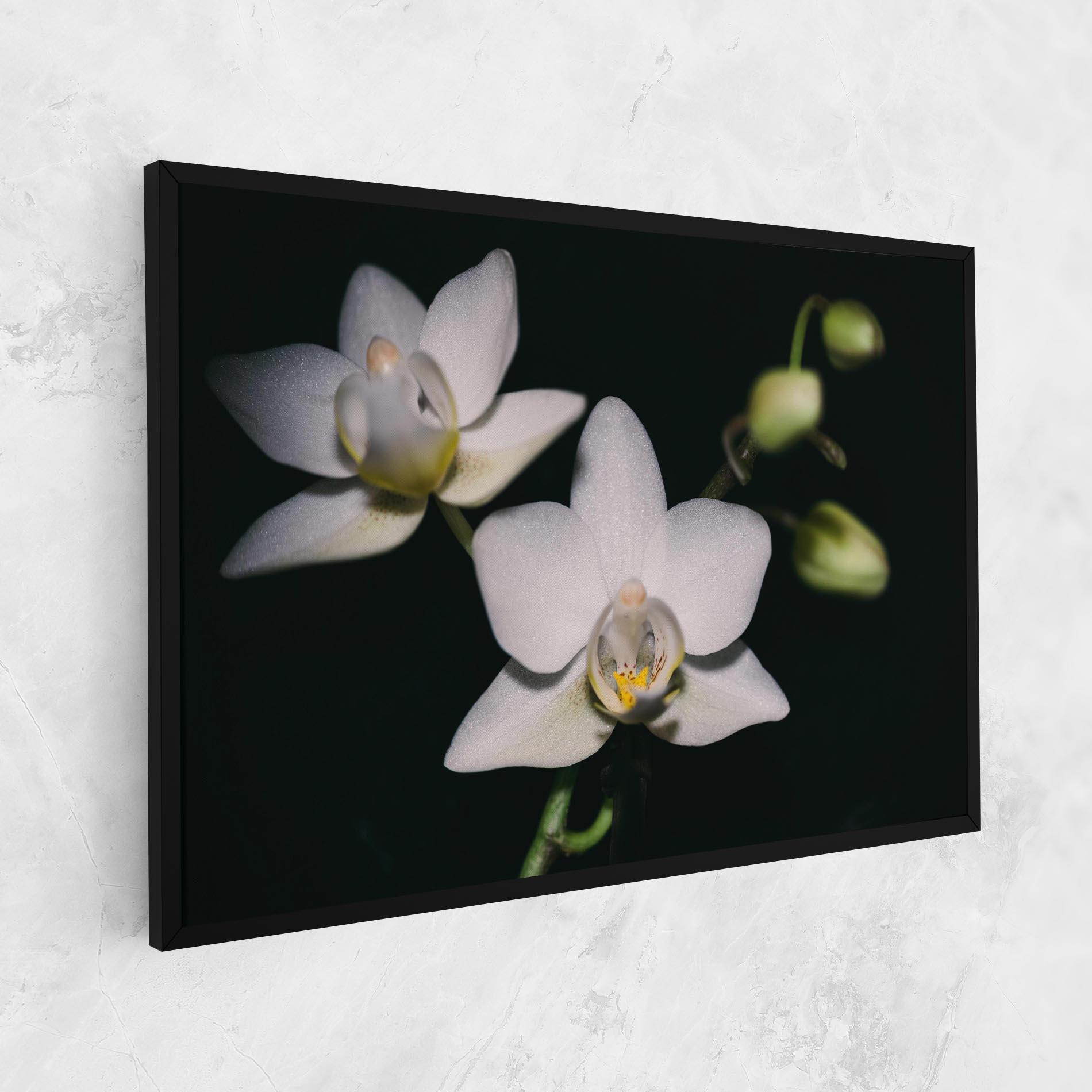 Leinwandbild Orchids On Black mockup 1
