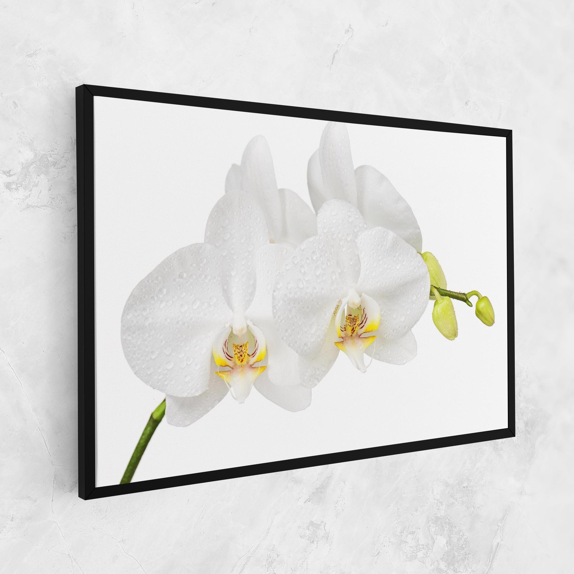 Leinwandbild Orchids On White mockup 1