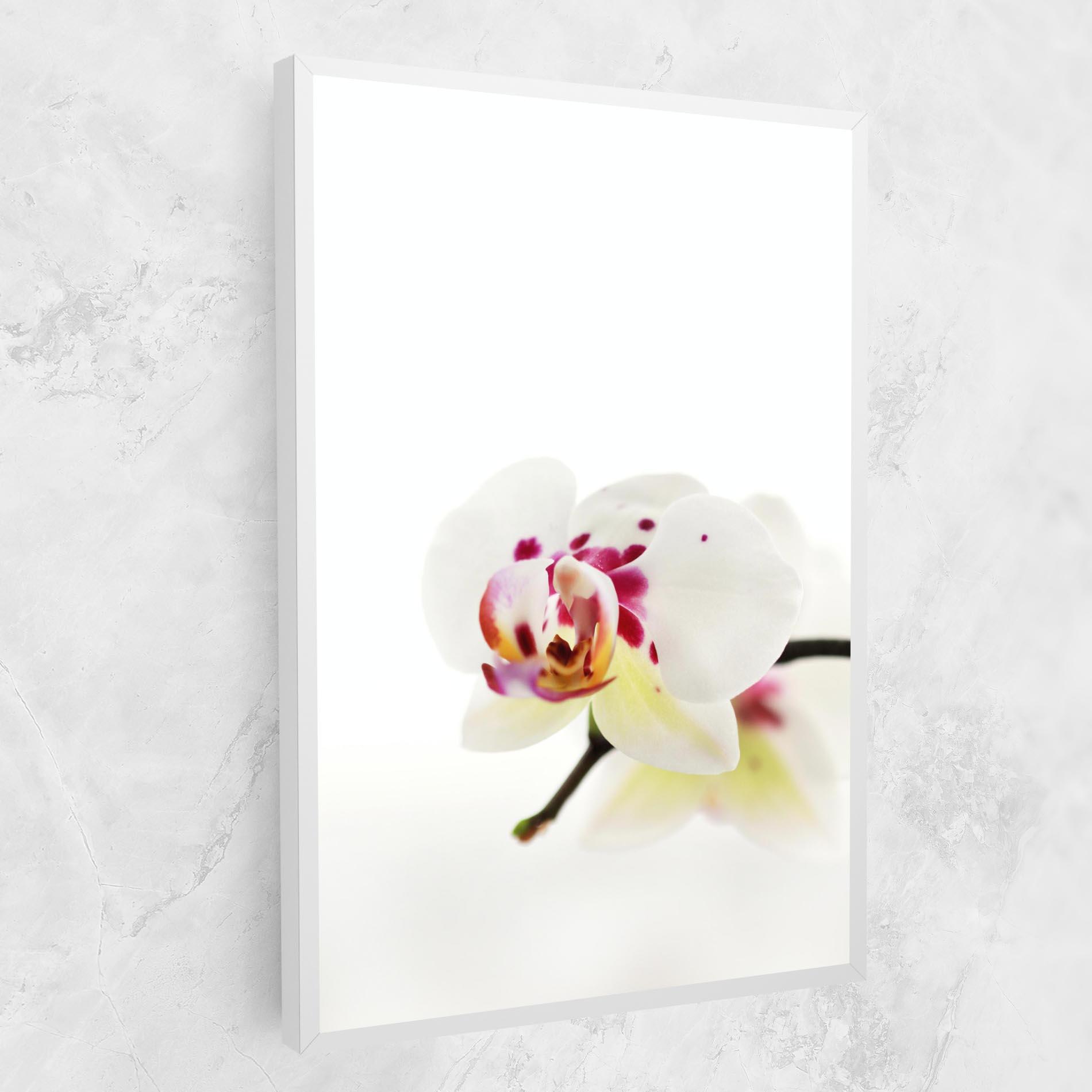 Leinwandbild Clean White Orchid mockup 1