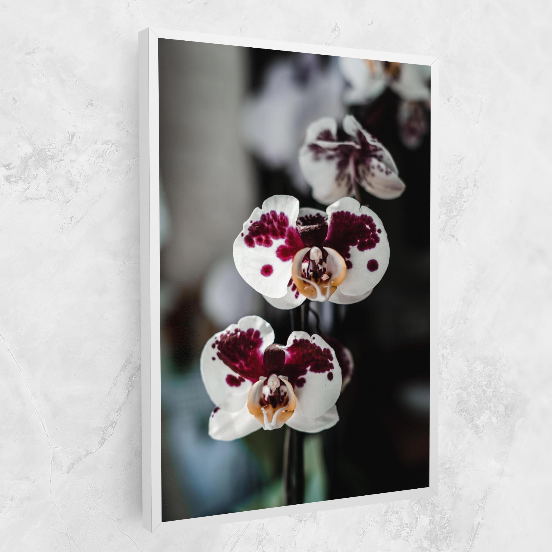 Leinwandbild Dark Purple Orchid mockup 1