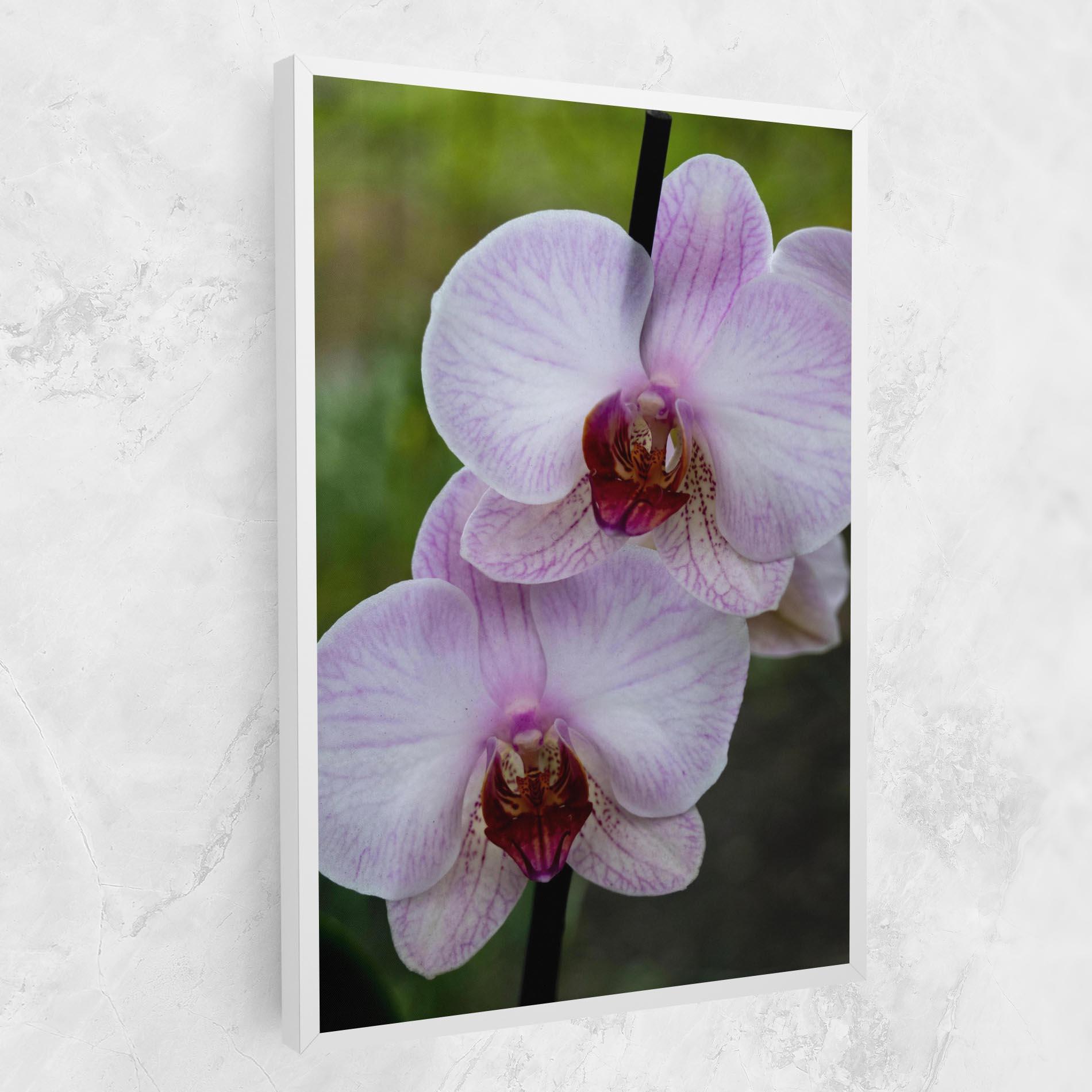 Leinwandbild Garden Light Purple Orchid mockup 1