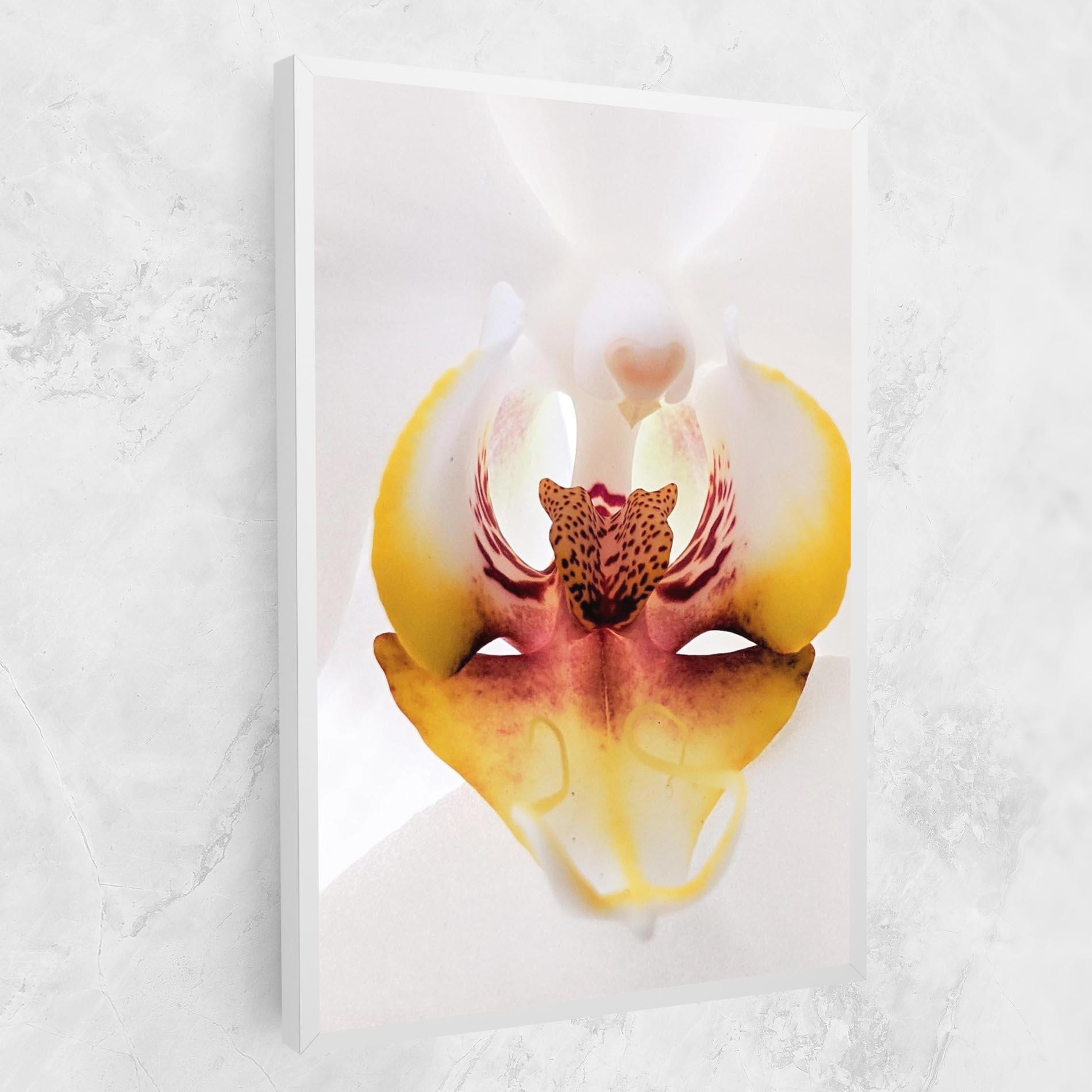 Leinwandbild Orchid Close Up mockup 1