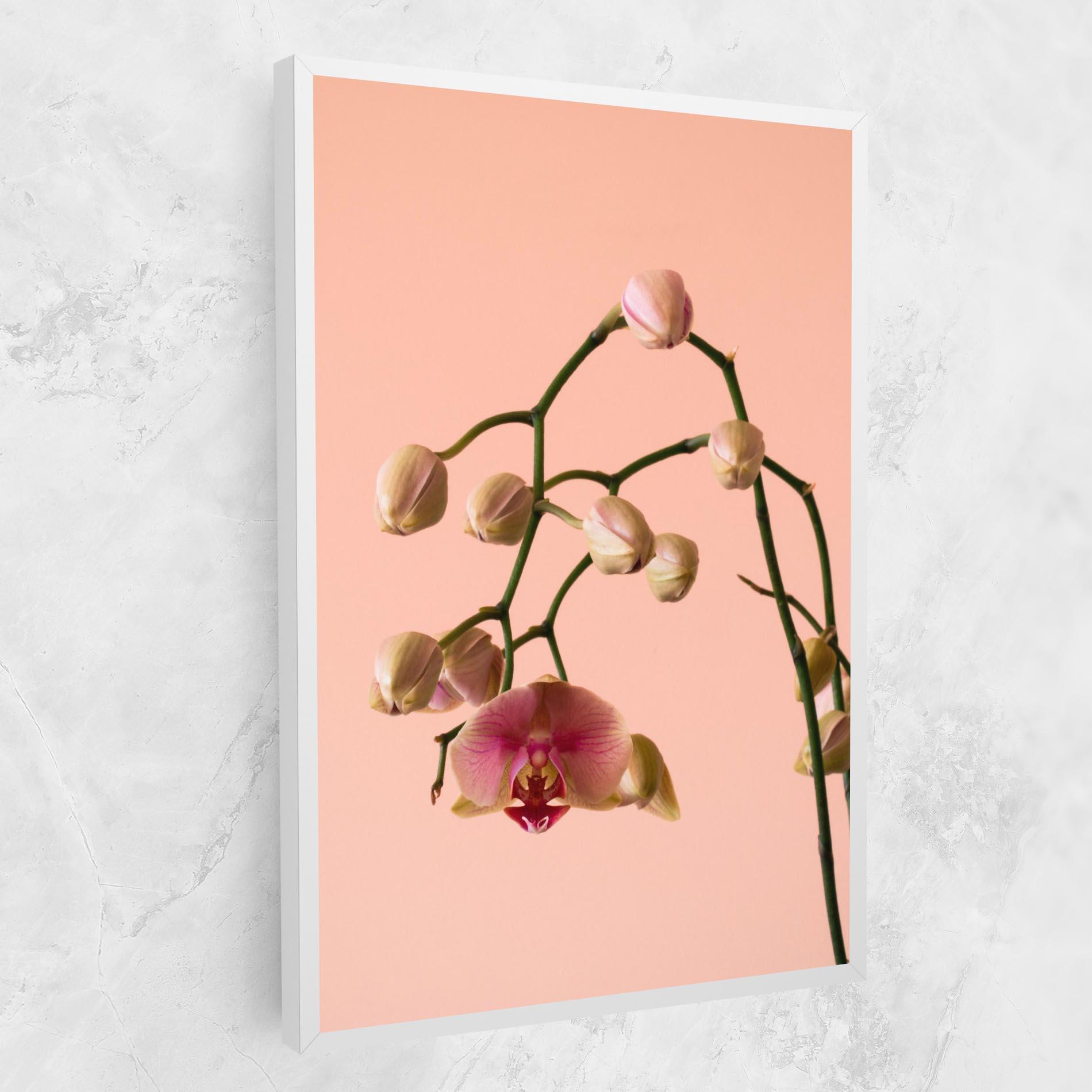 Leinwandbild Orchids On Pink mockup 1