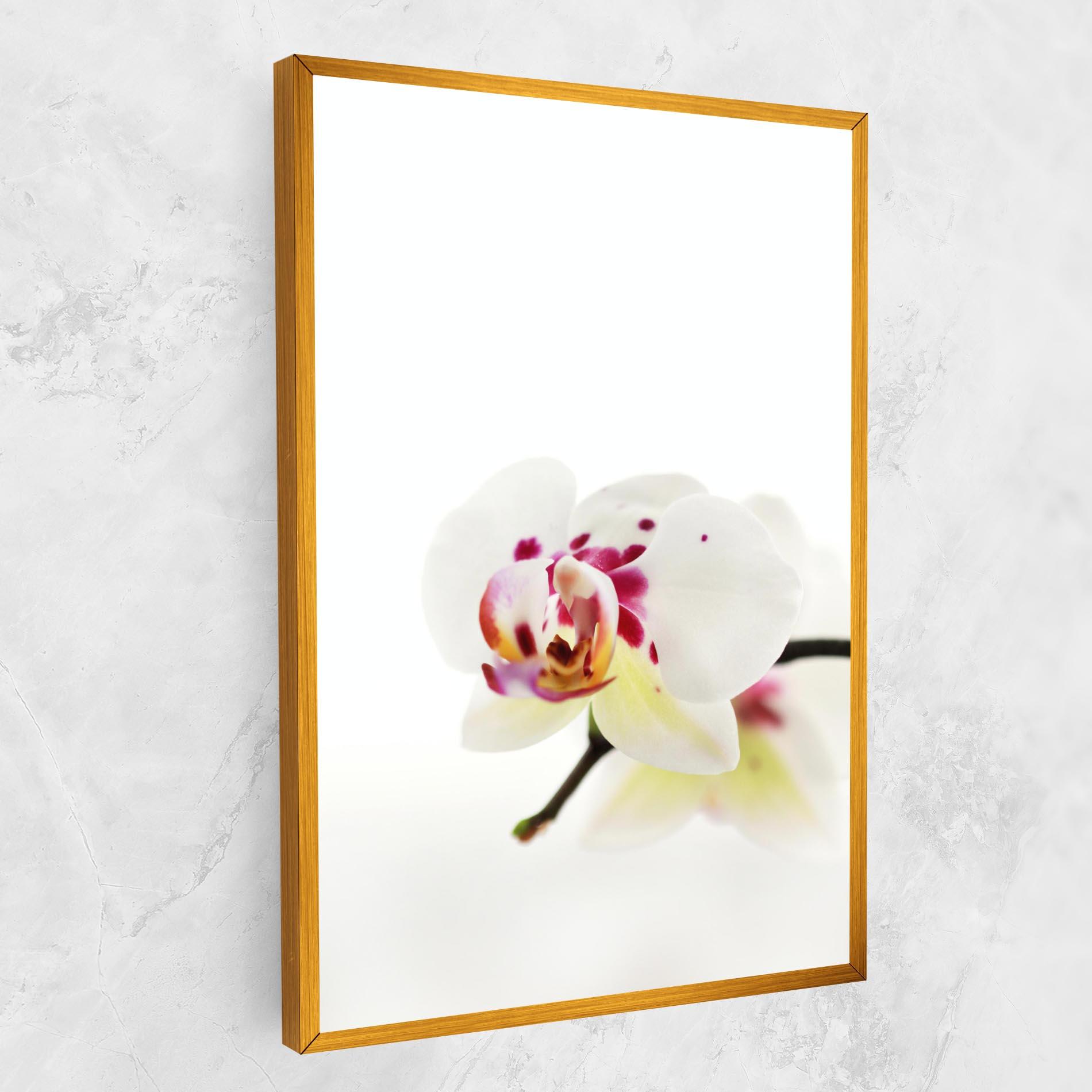 Leinwandbild Clean White Orchid mockup 1
