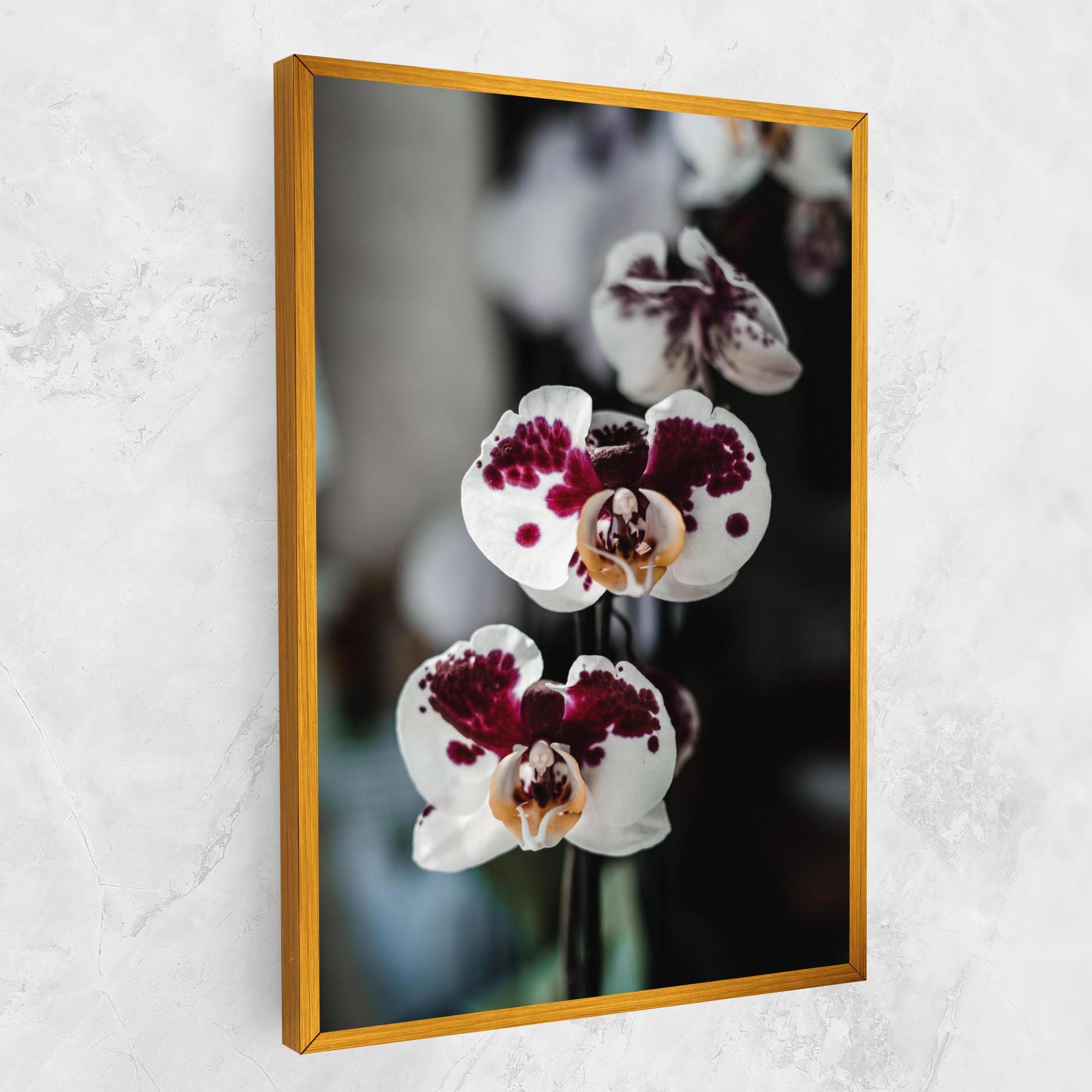 Dark Purple Orchid mockup 1