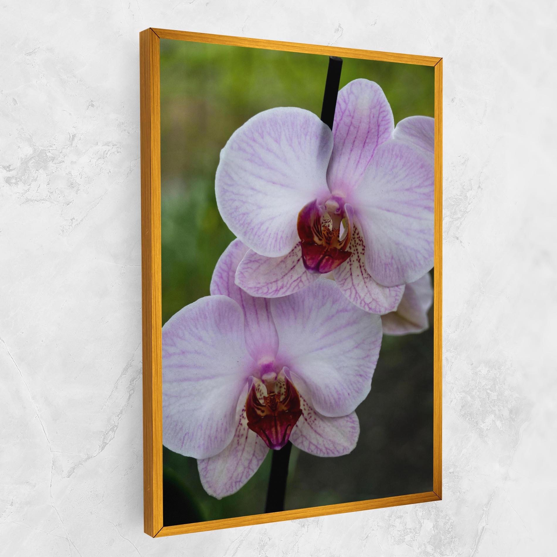 Leinwandbild Garden Light Purple Orchid mockup 1