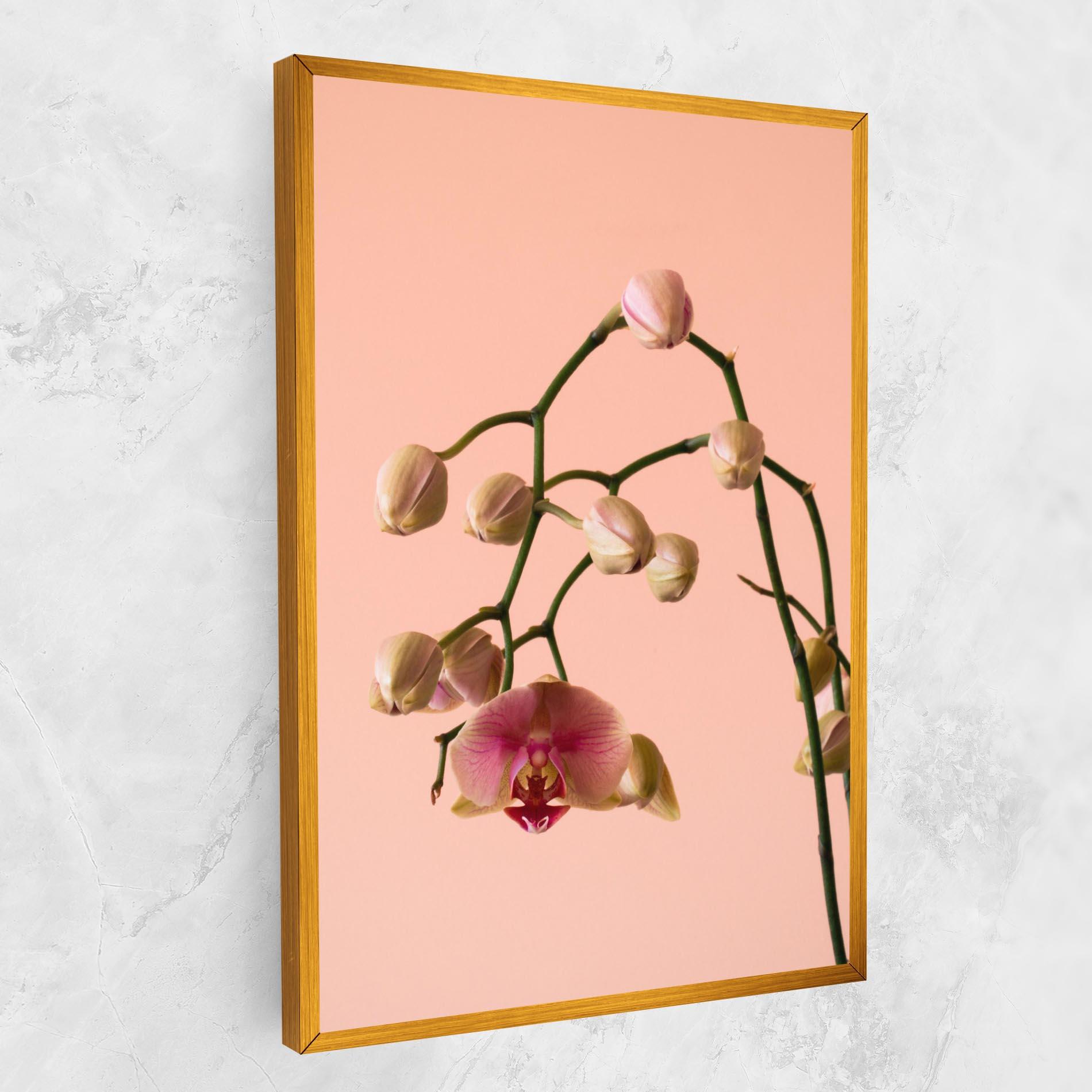 Leinwandbild Orchids On Pink mockup 1