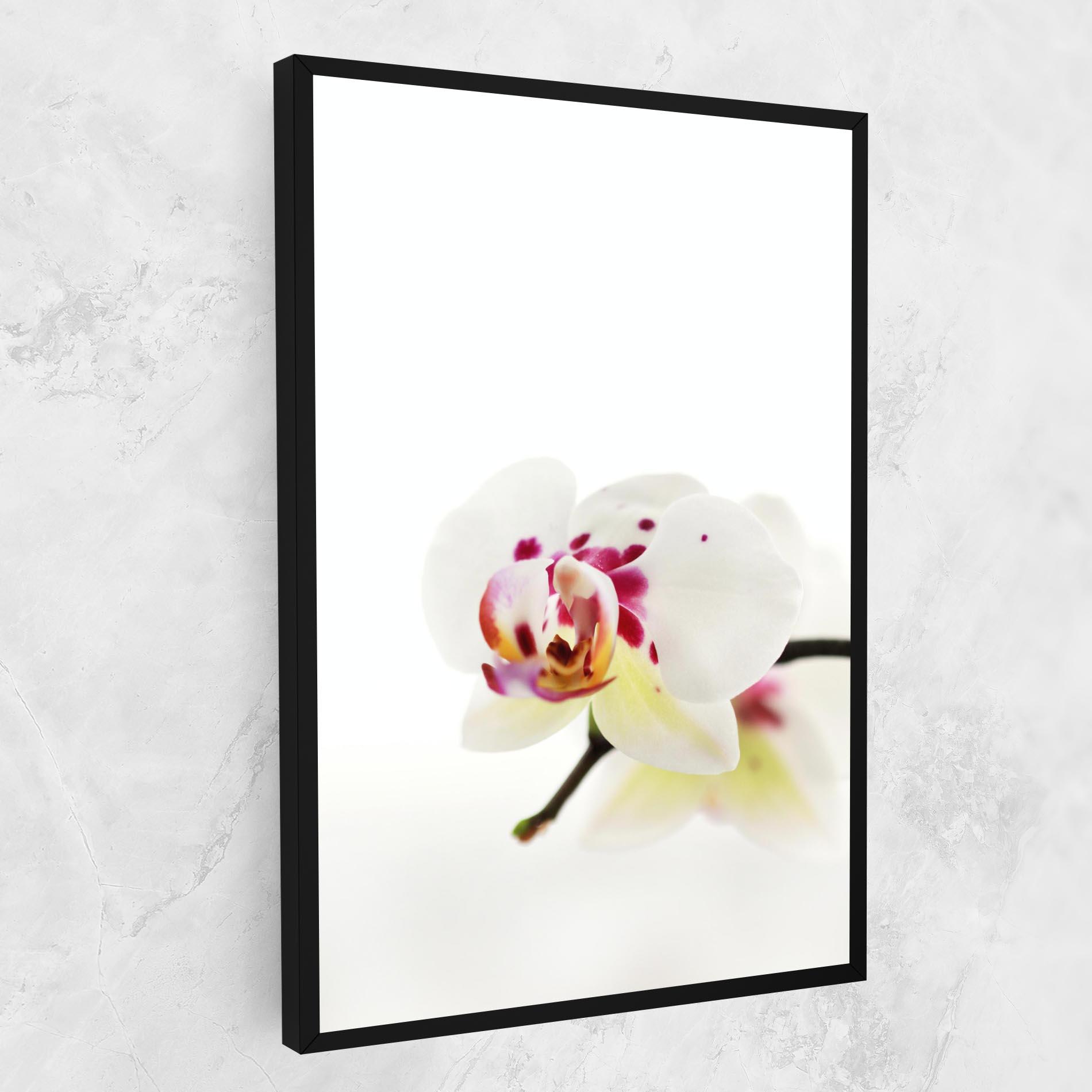 Leinwandbild Clean White Orchid mockup 1