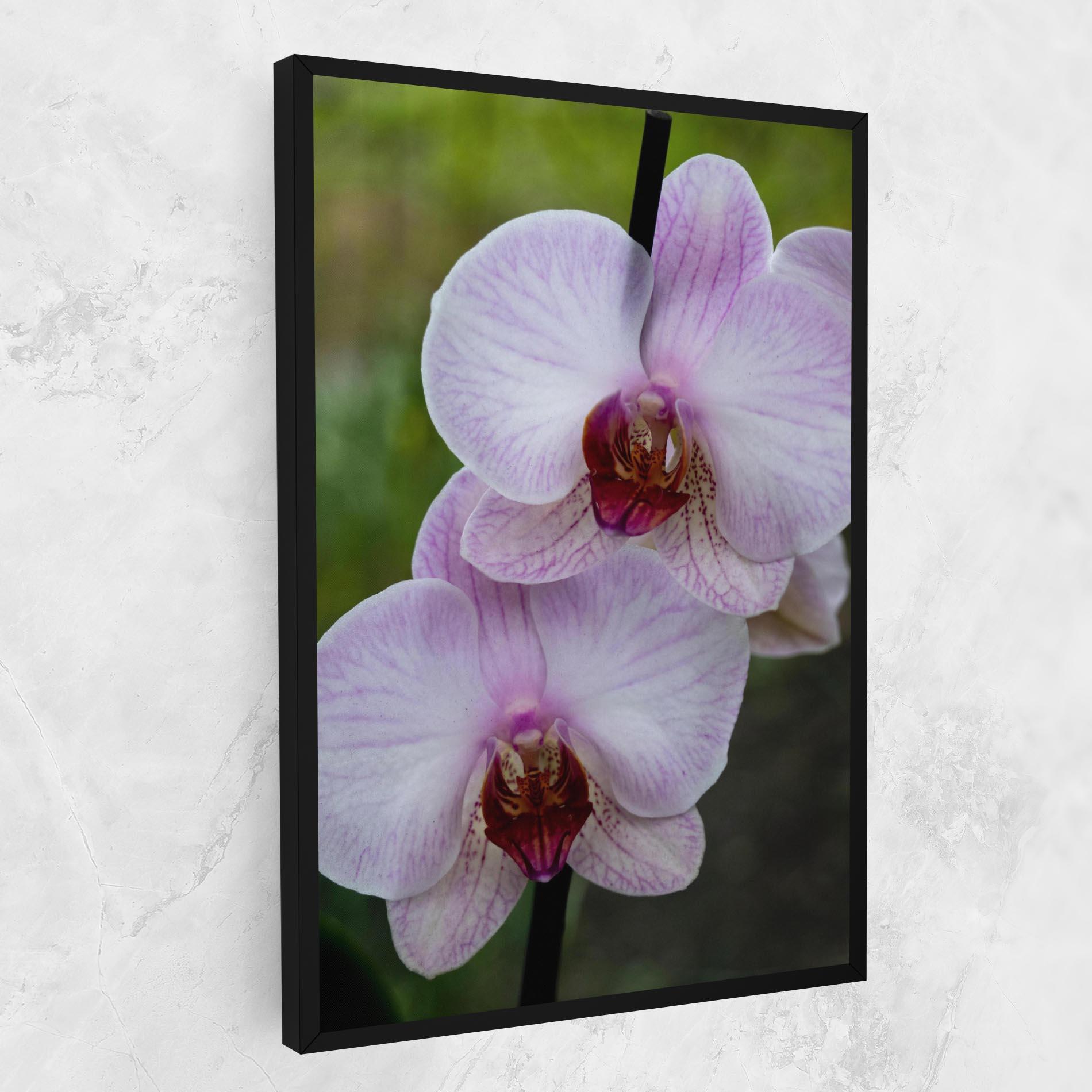Leinwandbild Garden Light Purple Orchid mockup 1