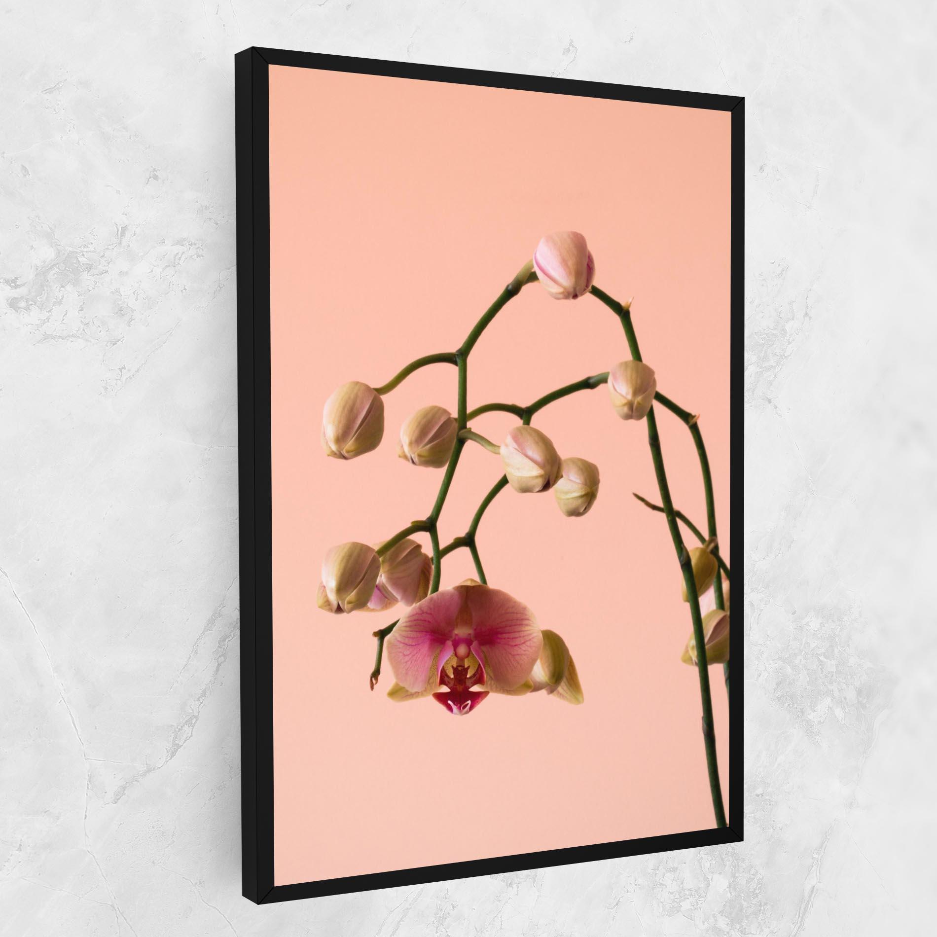 Leinwandbild Orchids On Pink mockup 1