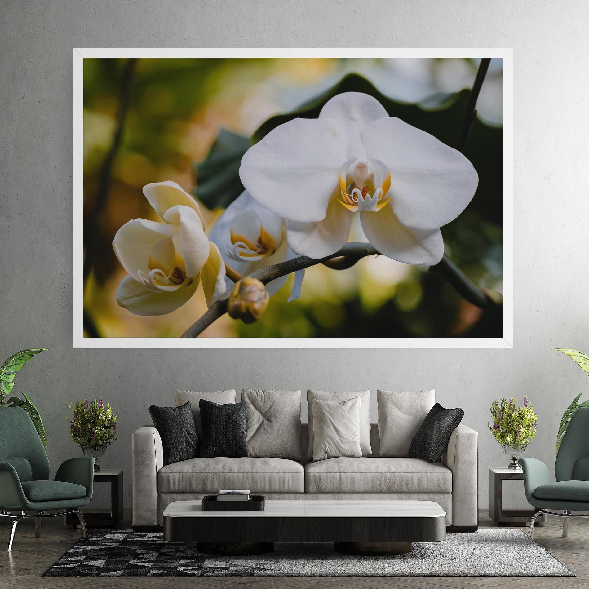 Leinwandbild Cream Orchid In Nature mockup 7
