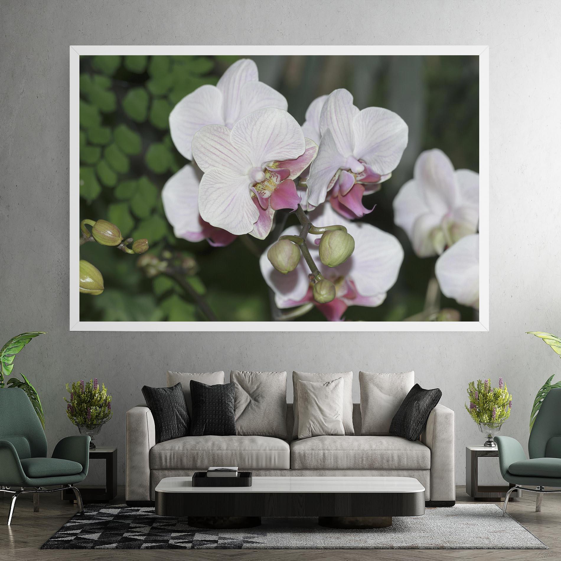 Leinwandbild Orchid Botanical Garden mockup 7