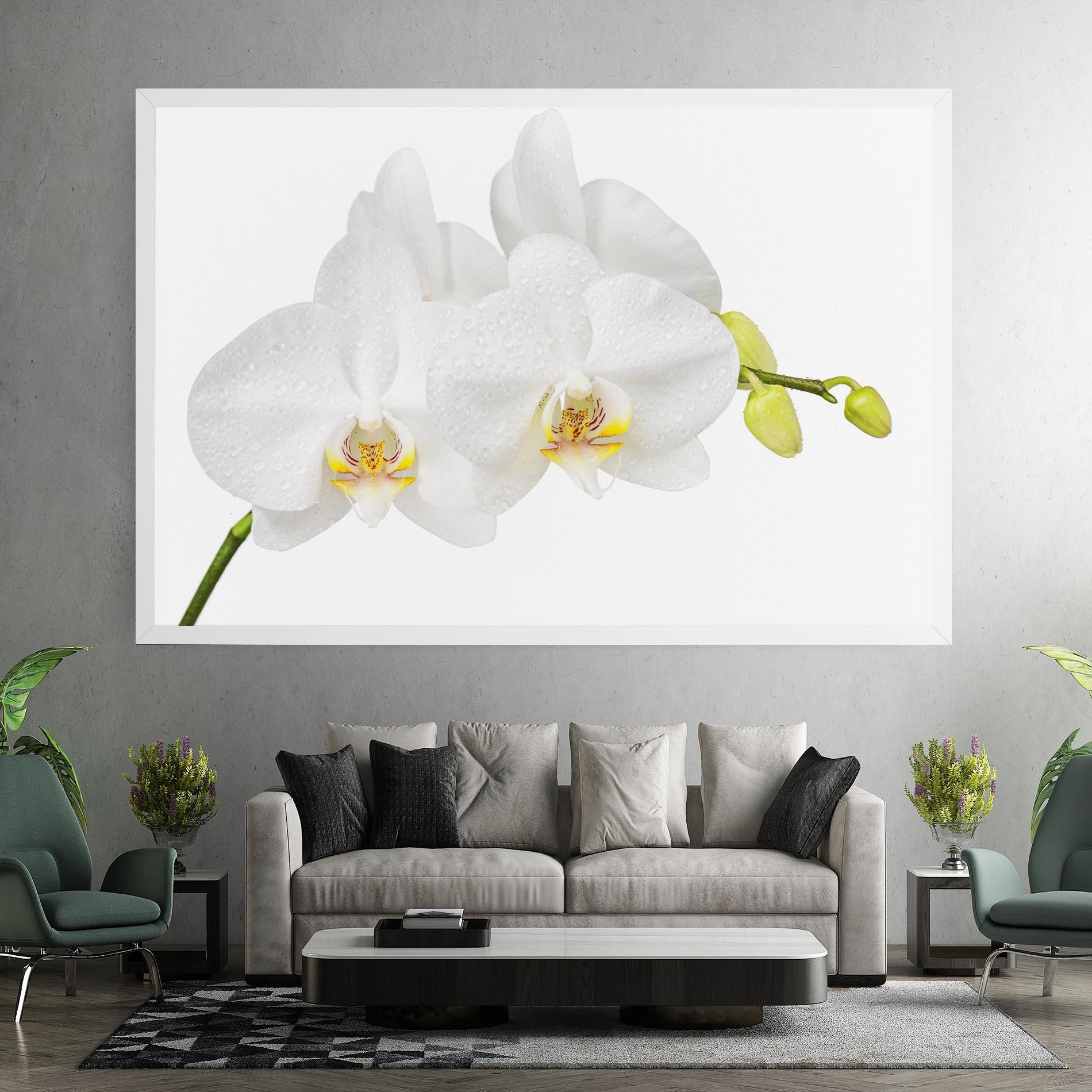Leinwandbild Orchids On White mockup 7
