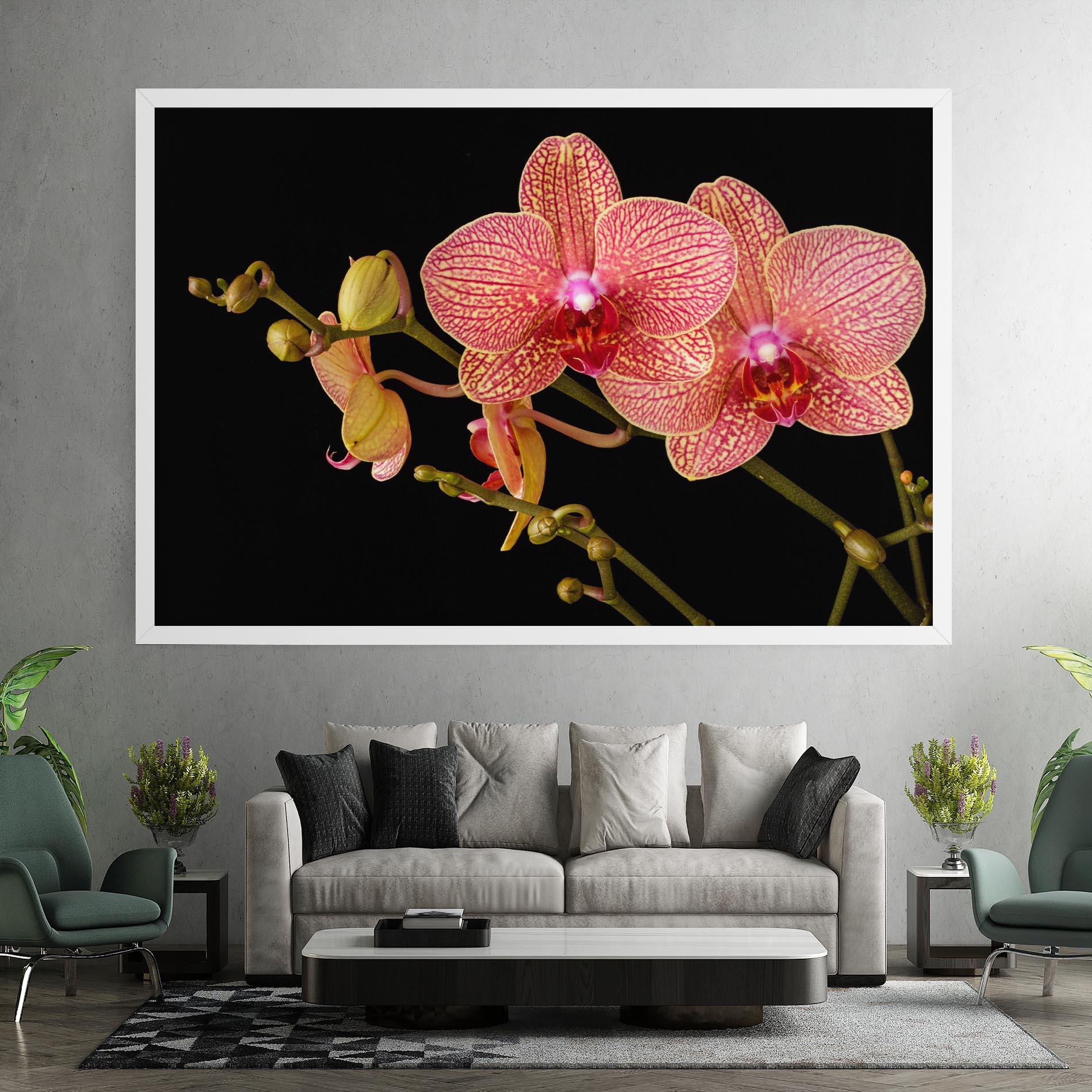 Leinwandbild Pink Orchids On Black mockup 7
