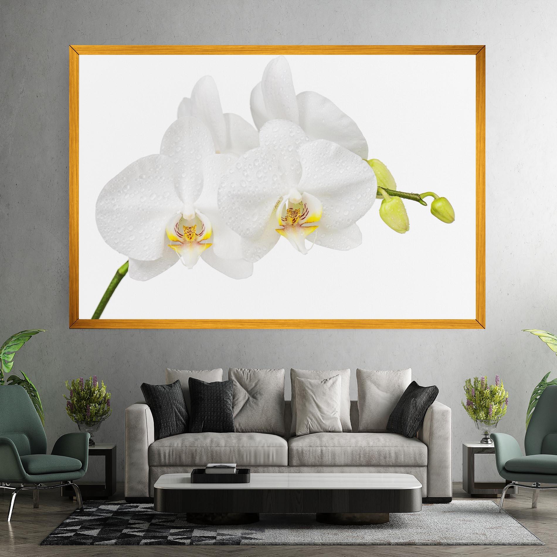 Leinwandbild Orchids On White mockup 7