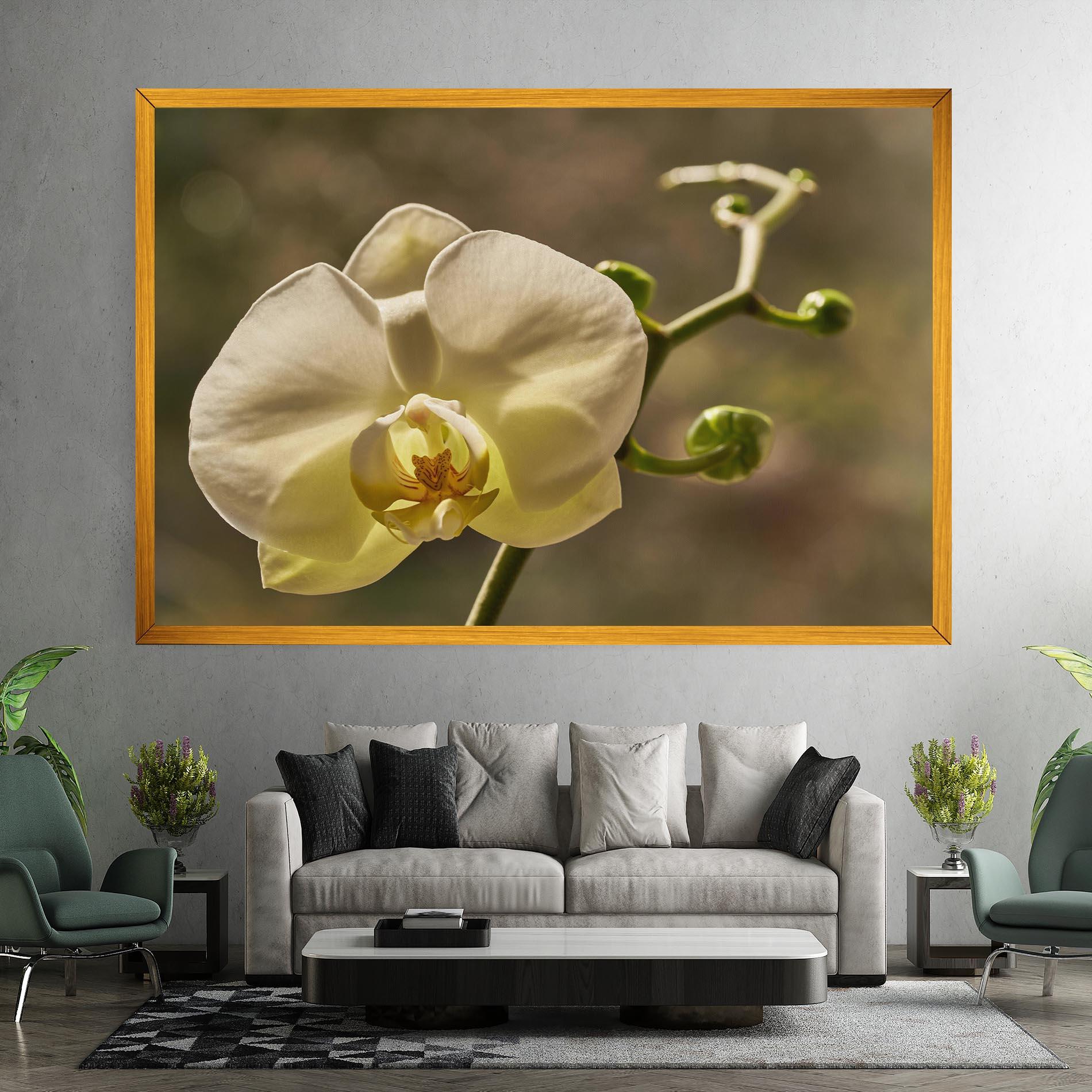 Leinwandbild Pastel Yellow Orchid In Garden mockup 7